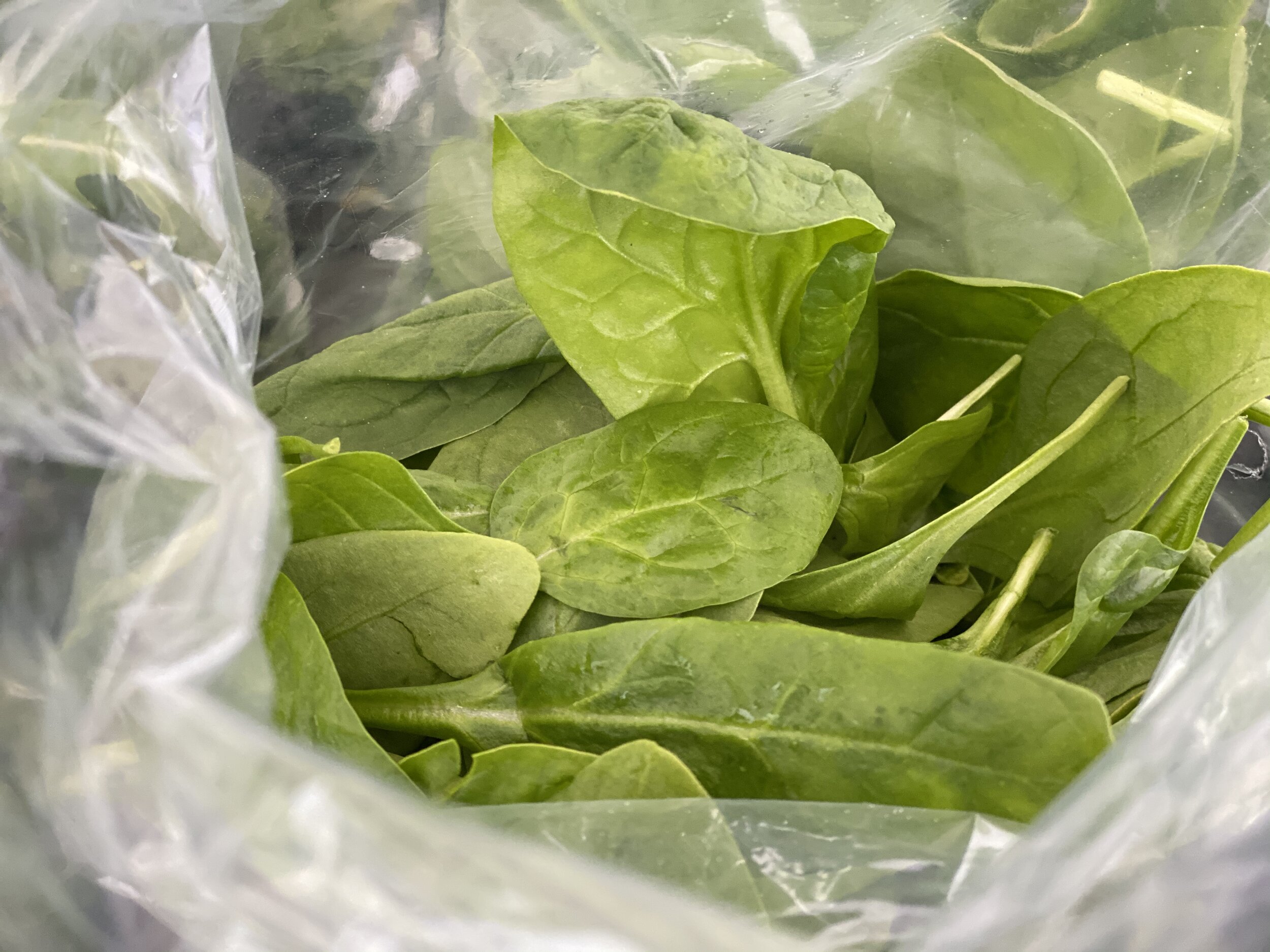 2A17E0C8-87D4-487A-9C8D-D180A4080D47