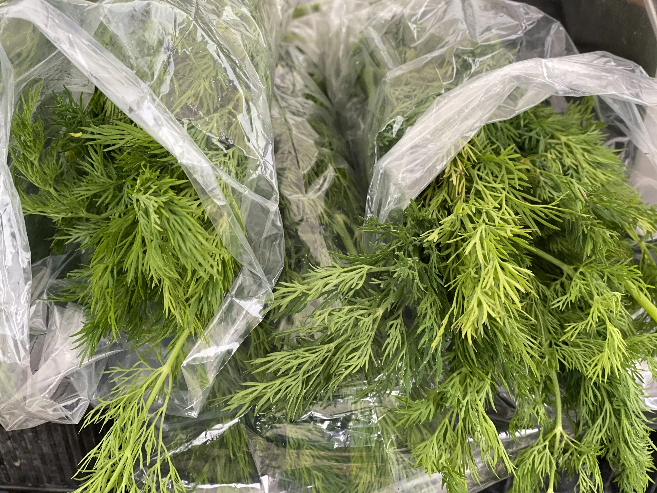 7B7F4E7C-3F45-49A2-8C50-7C10CCB80020