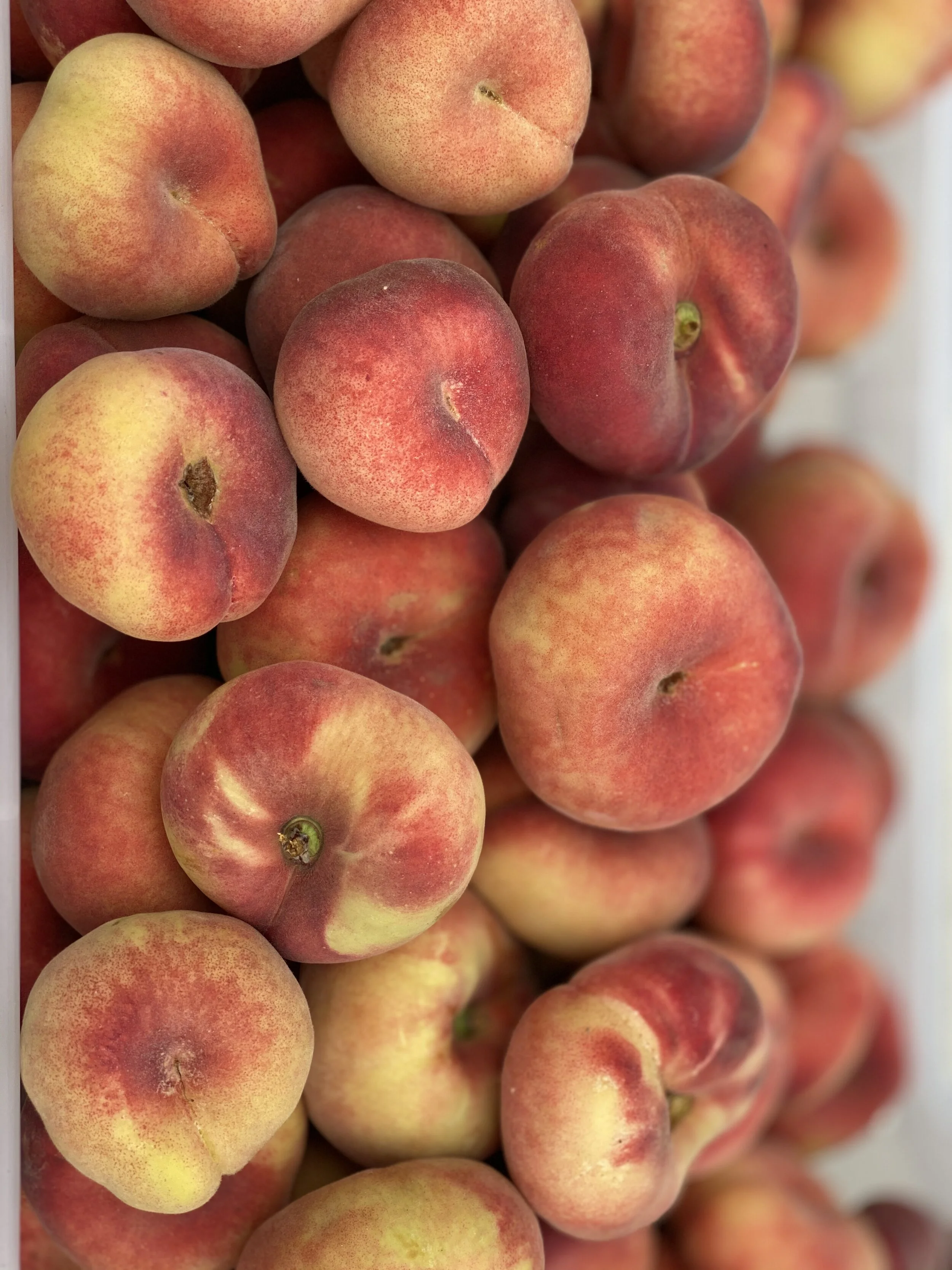 C9148B31-0CFA-45E9-8BF7-21357BDFB752