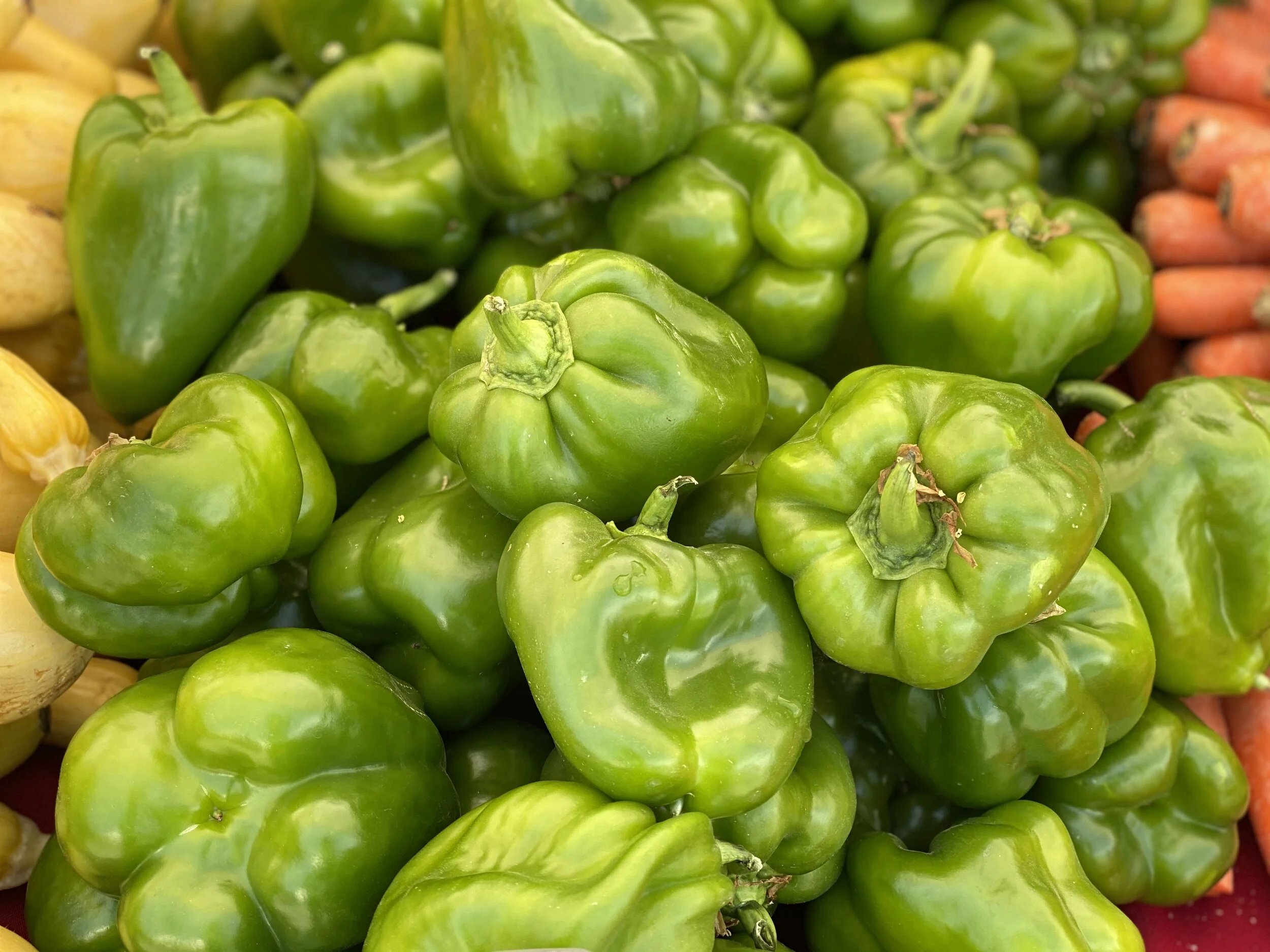 6AC1A2E3-857A-4E33-83B2-3488DB963849