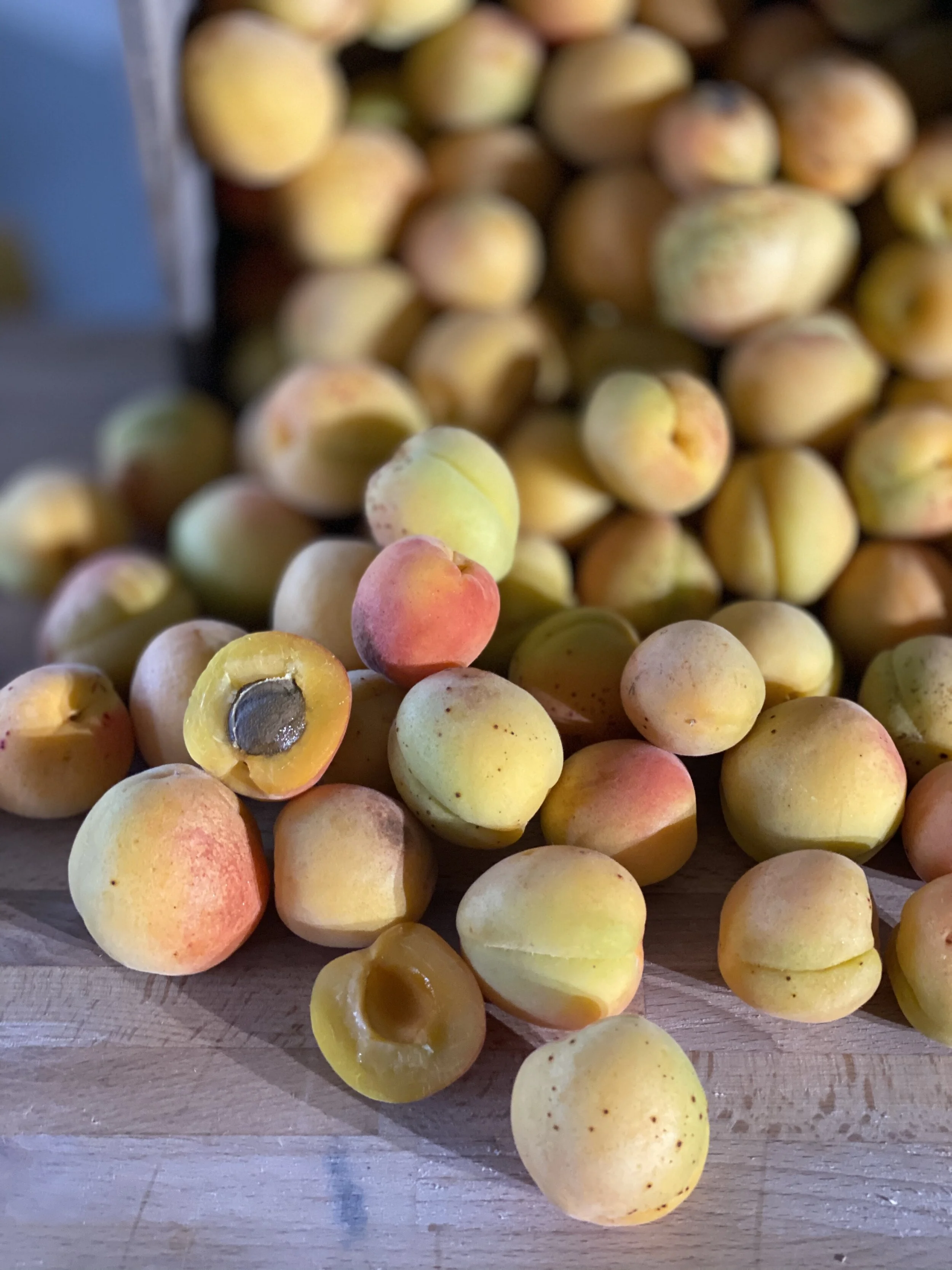 1BF8D0C3-F203-48C7-B4DA-3979D916C7DF