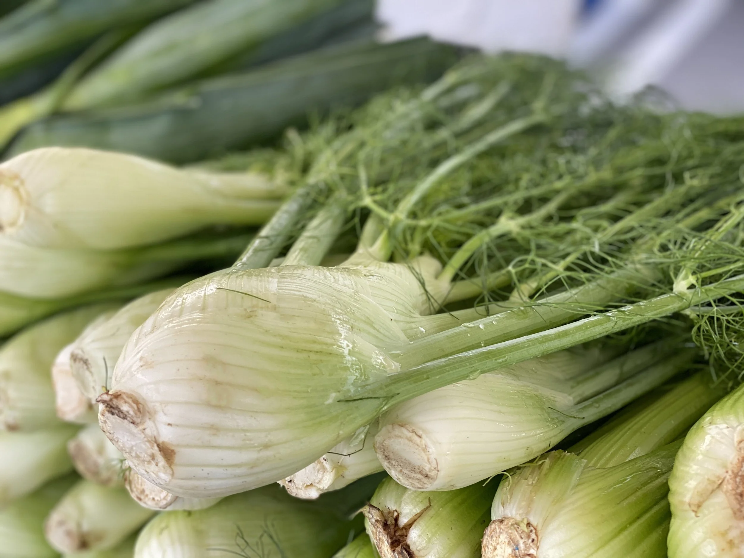 21AB4035-D78B-49B7-AE92-97AC32166832