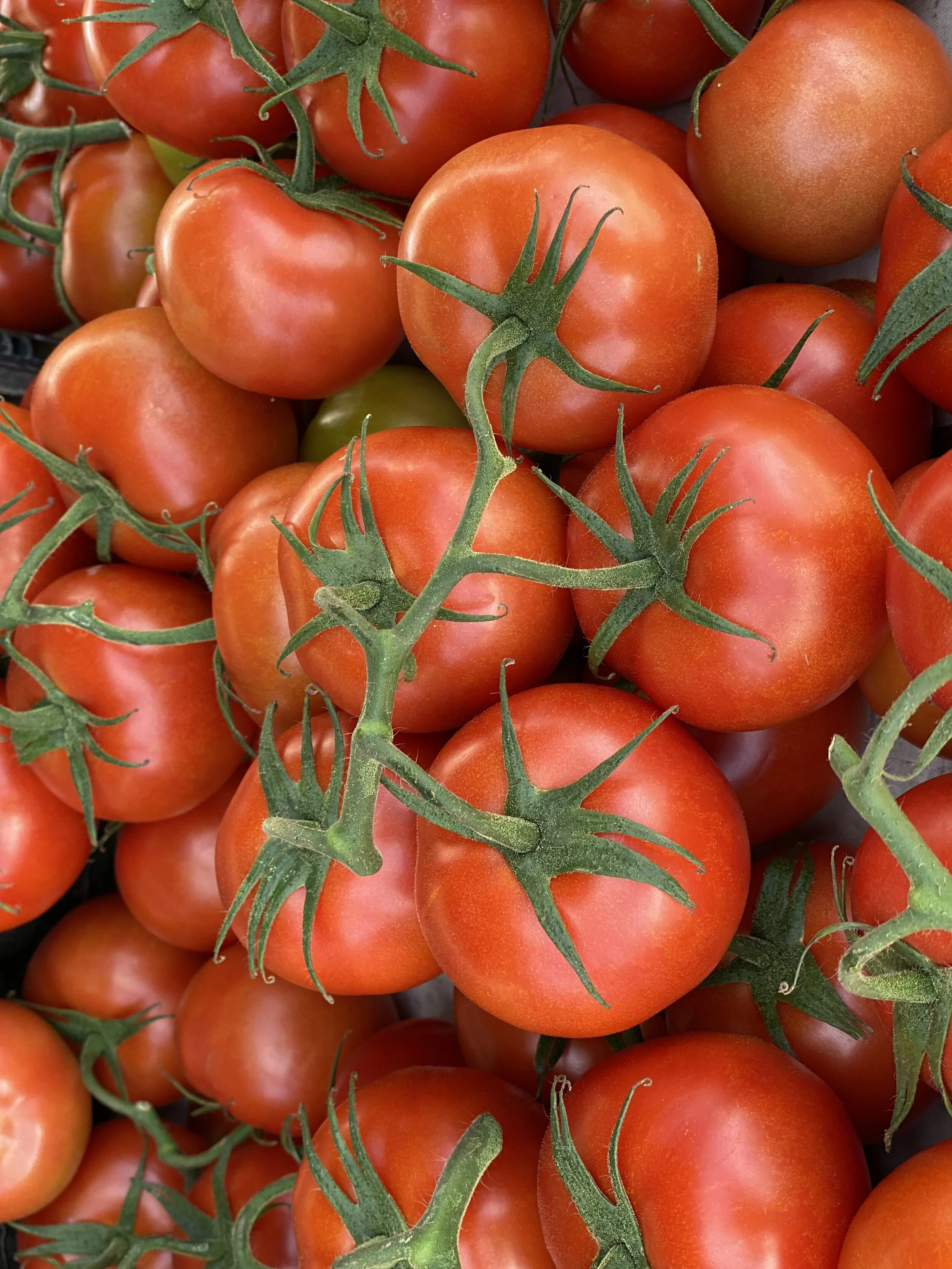 D6CE2958-875A-4BF9-AAD1-2E8F78937C43