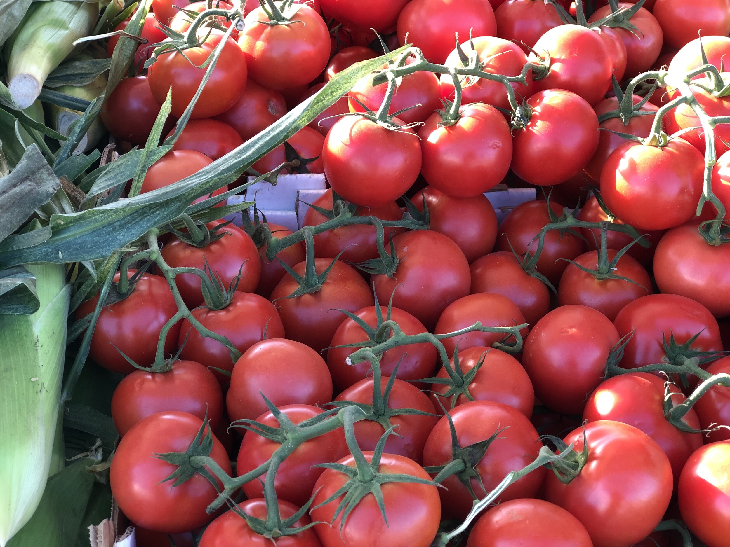 4BD0DEA3-E06F-45A3-96EB-05D4BD45CCB5