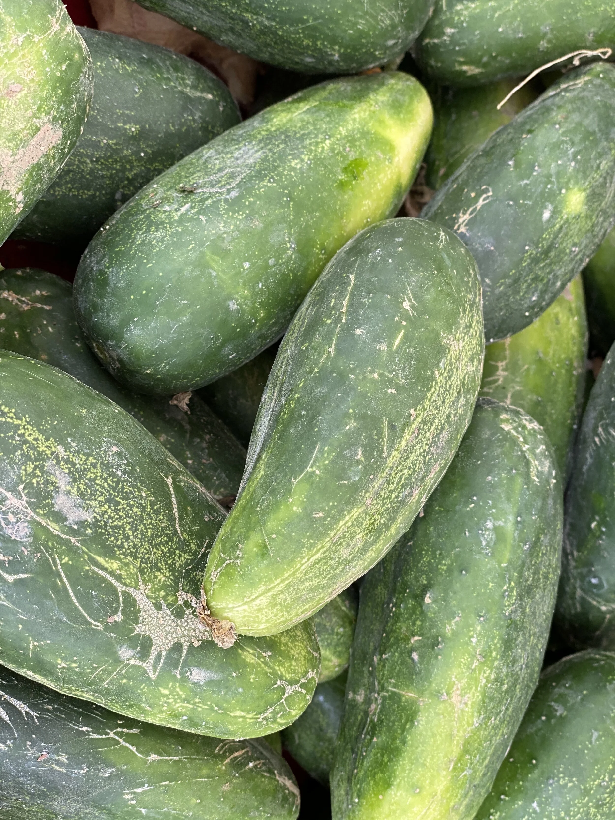 79DD958C-C919-4786-BFCF-B9DD473A3304