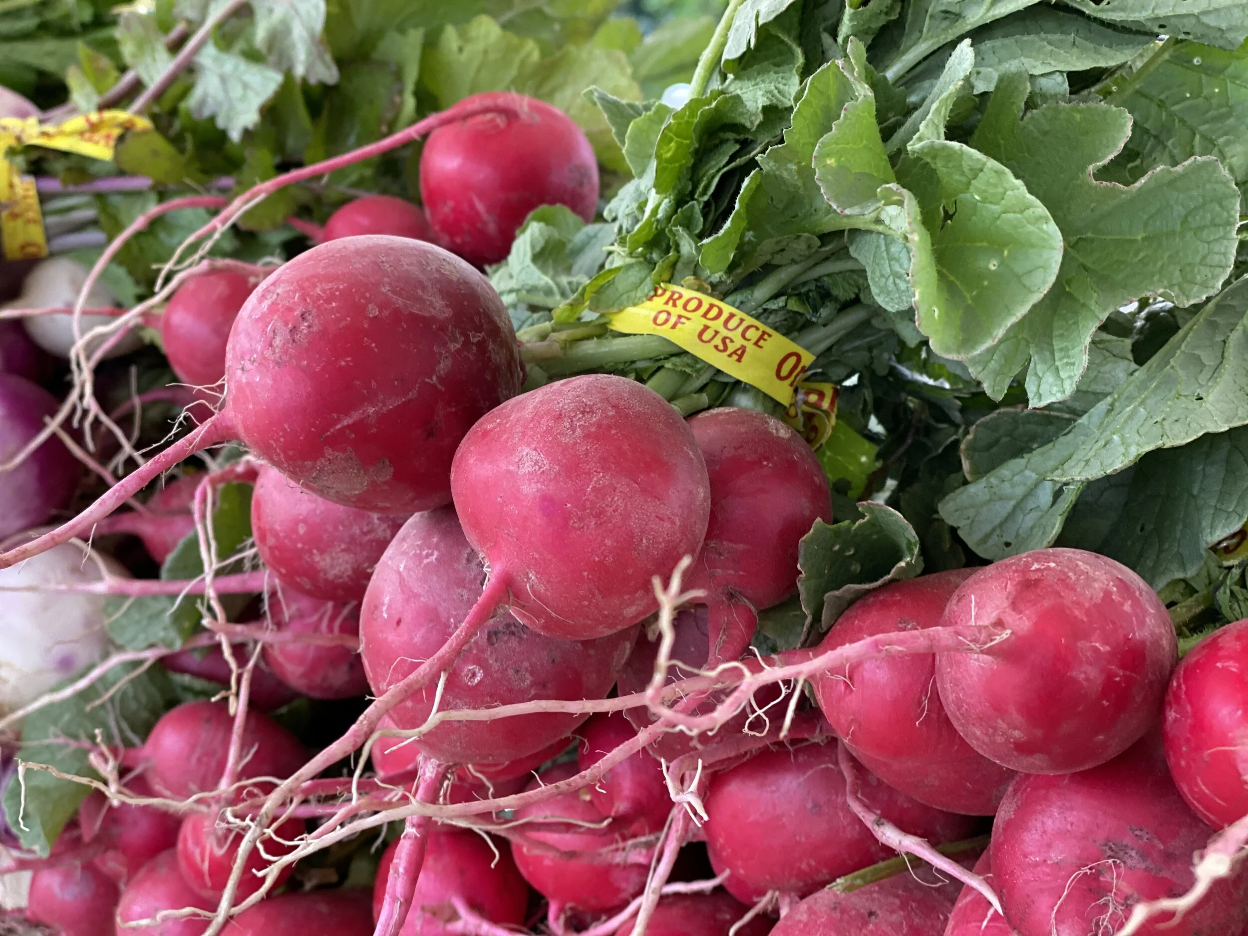 6C810101-EB04-47EE-AD82-8968A2325B3A