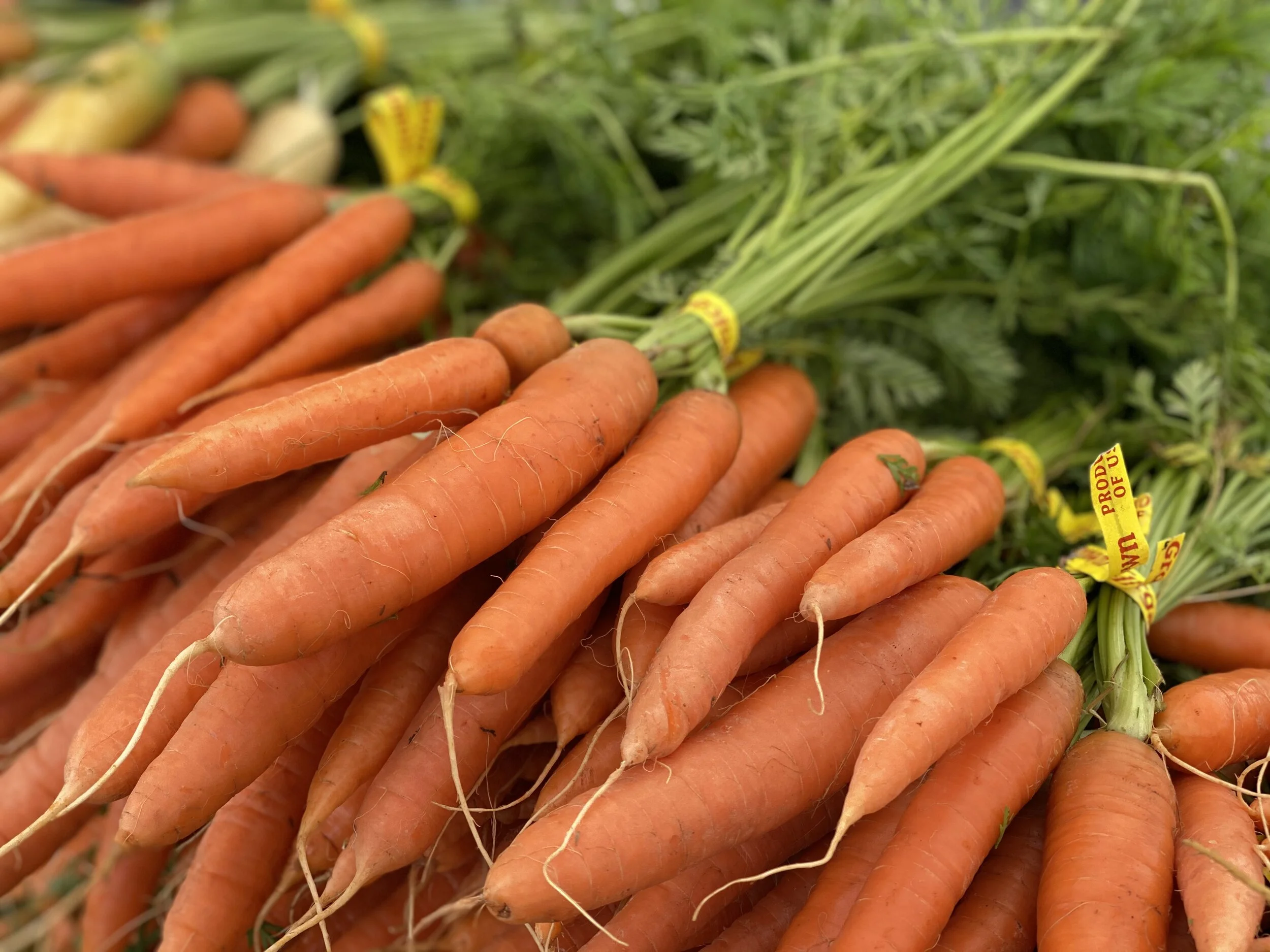 2DB2DB25-08C2-4D7A-A90B-8CFDA6BCF85C