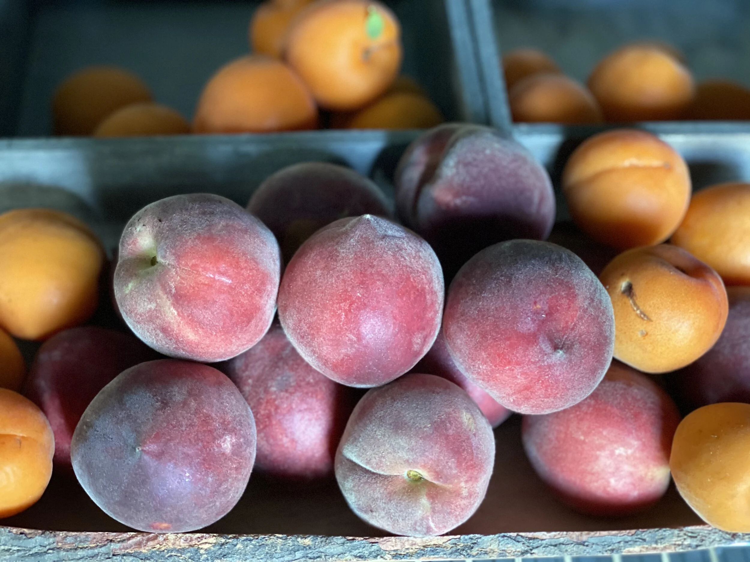 295DA699-933D-4AD5-A654-5FA5D81C8728