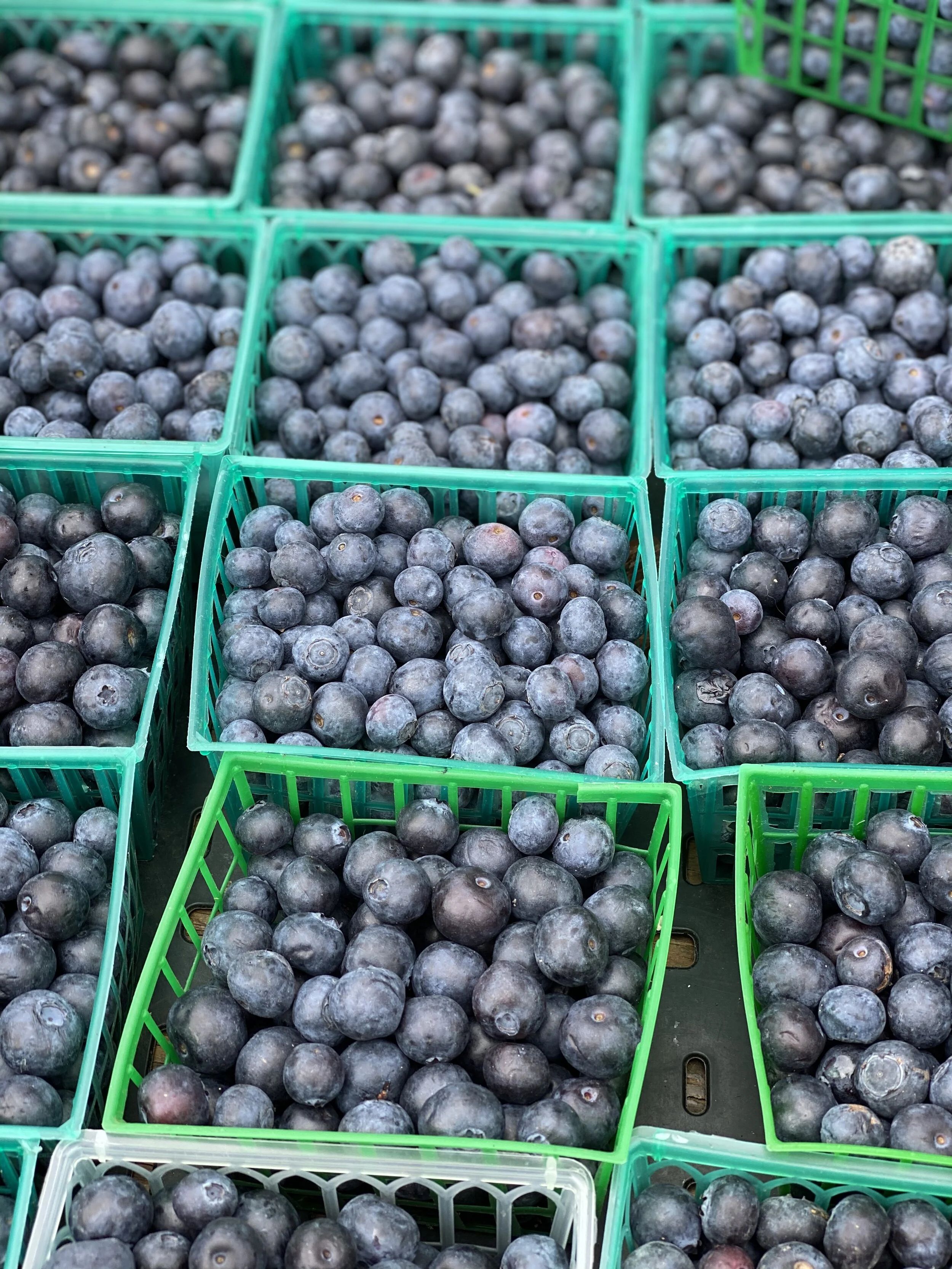 1E6074B2-5458-4900-AF51-8E3B8833EA5D