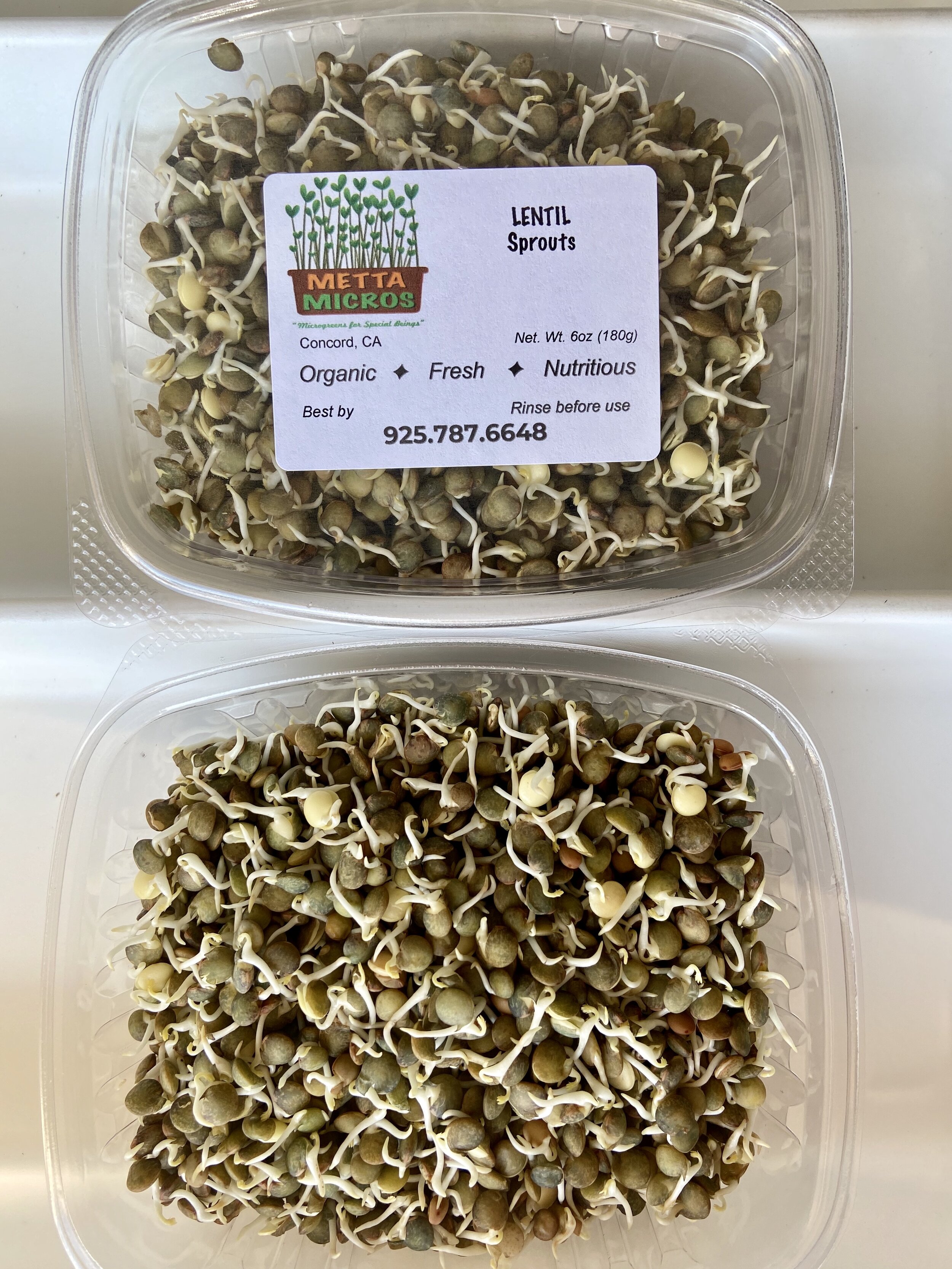 3AB6C868-3282-4ECE-AAFC-8301835F8124