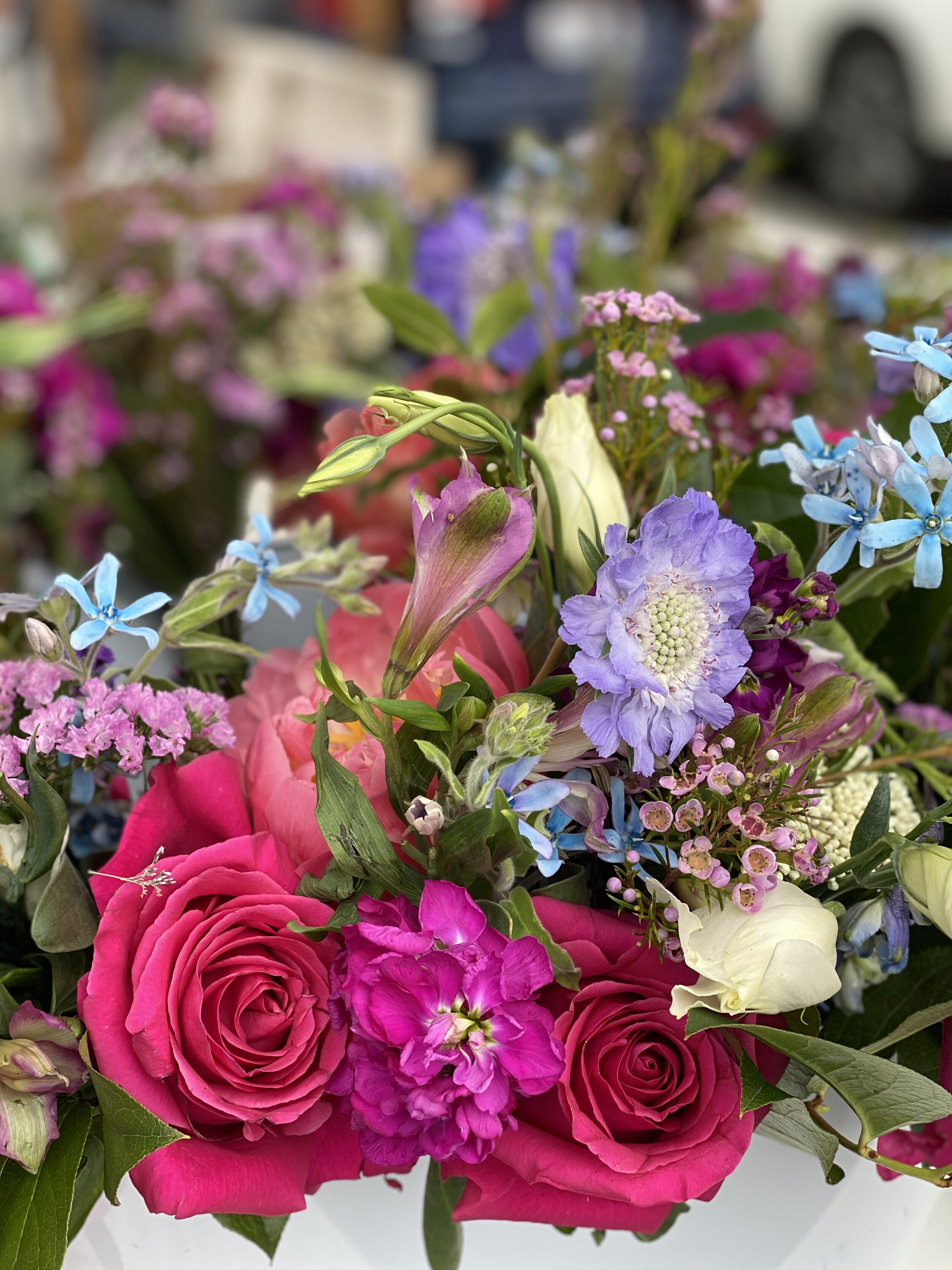 52F49EB5-199D-492E-B566-27F7535AABFD