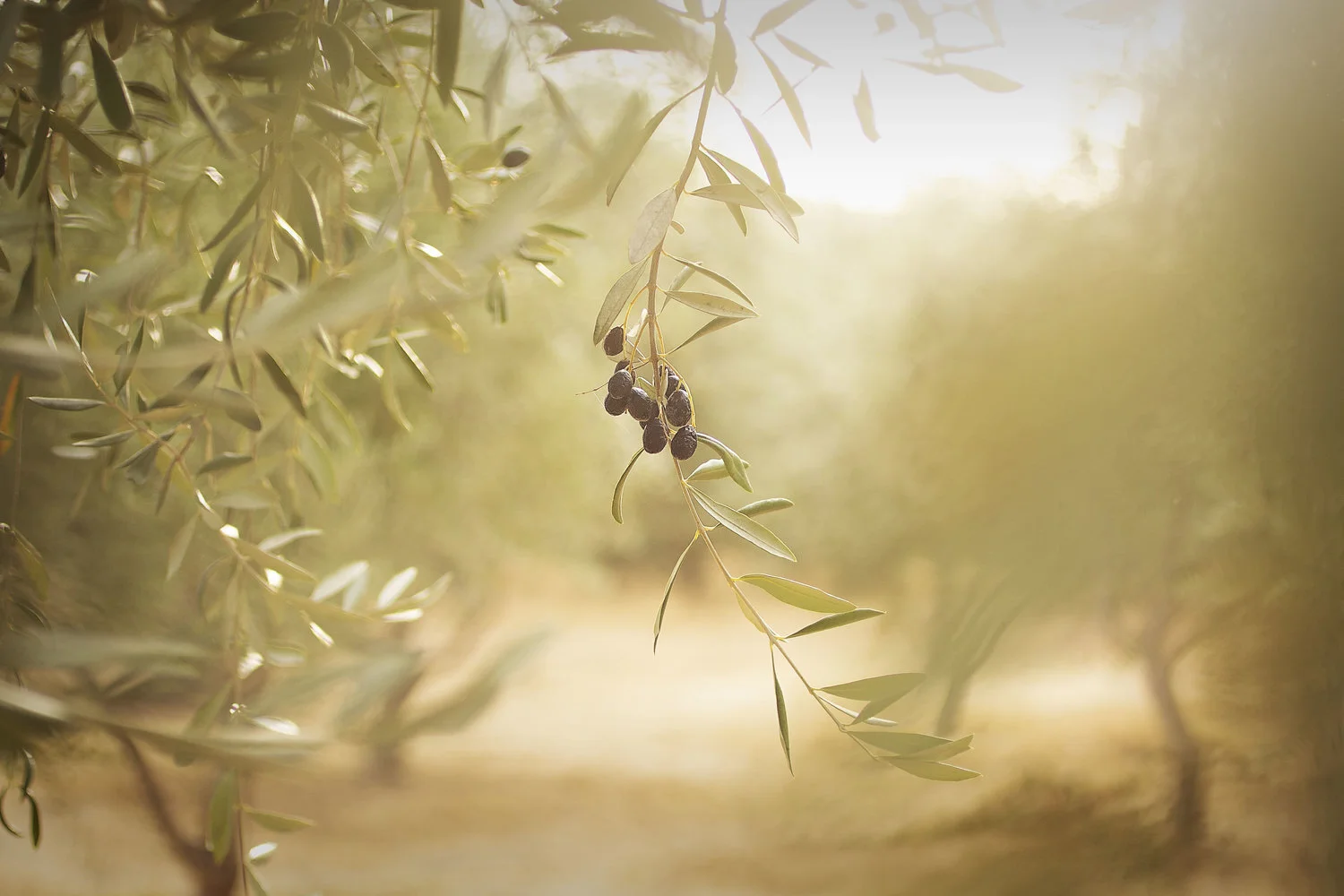 0C7C8CB6-F2BF-4A35-88CC-CB2B8DCEE176