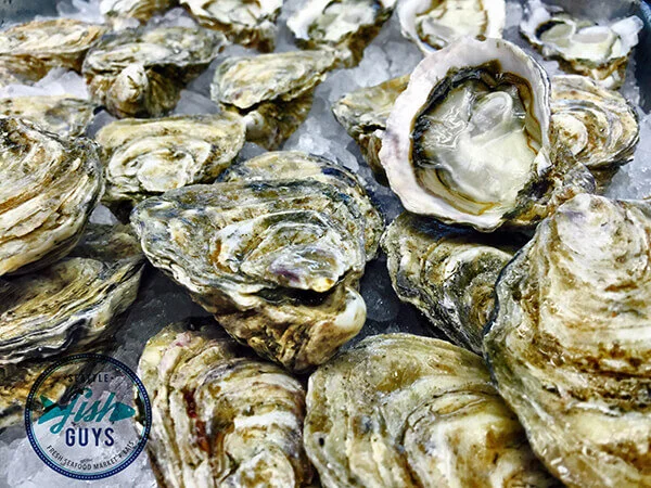 FE66D024-26B4-4272-ADF0-97FA1E6B8101