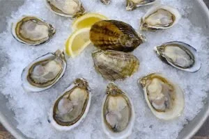 AB5B12B5-BBAE-4BF9-ACFE-DBC950F60F9F