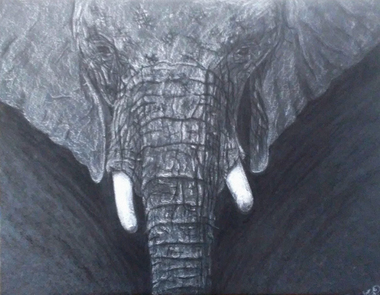 Elephant - Charcoal & black card stock