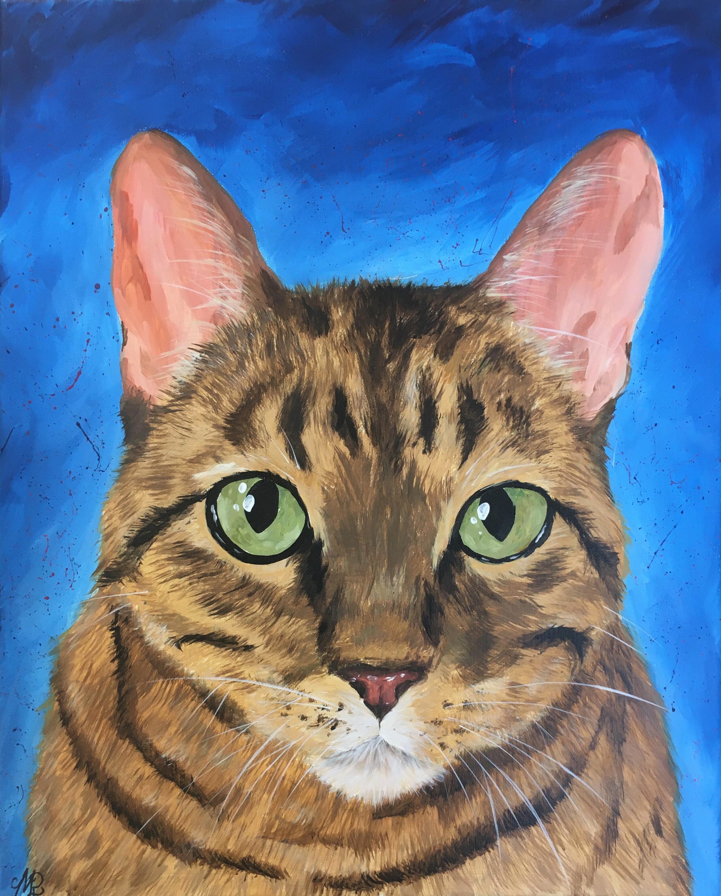 Cat - Acrylic canvas 16x20