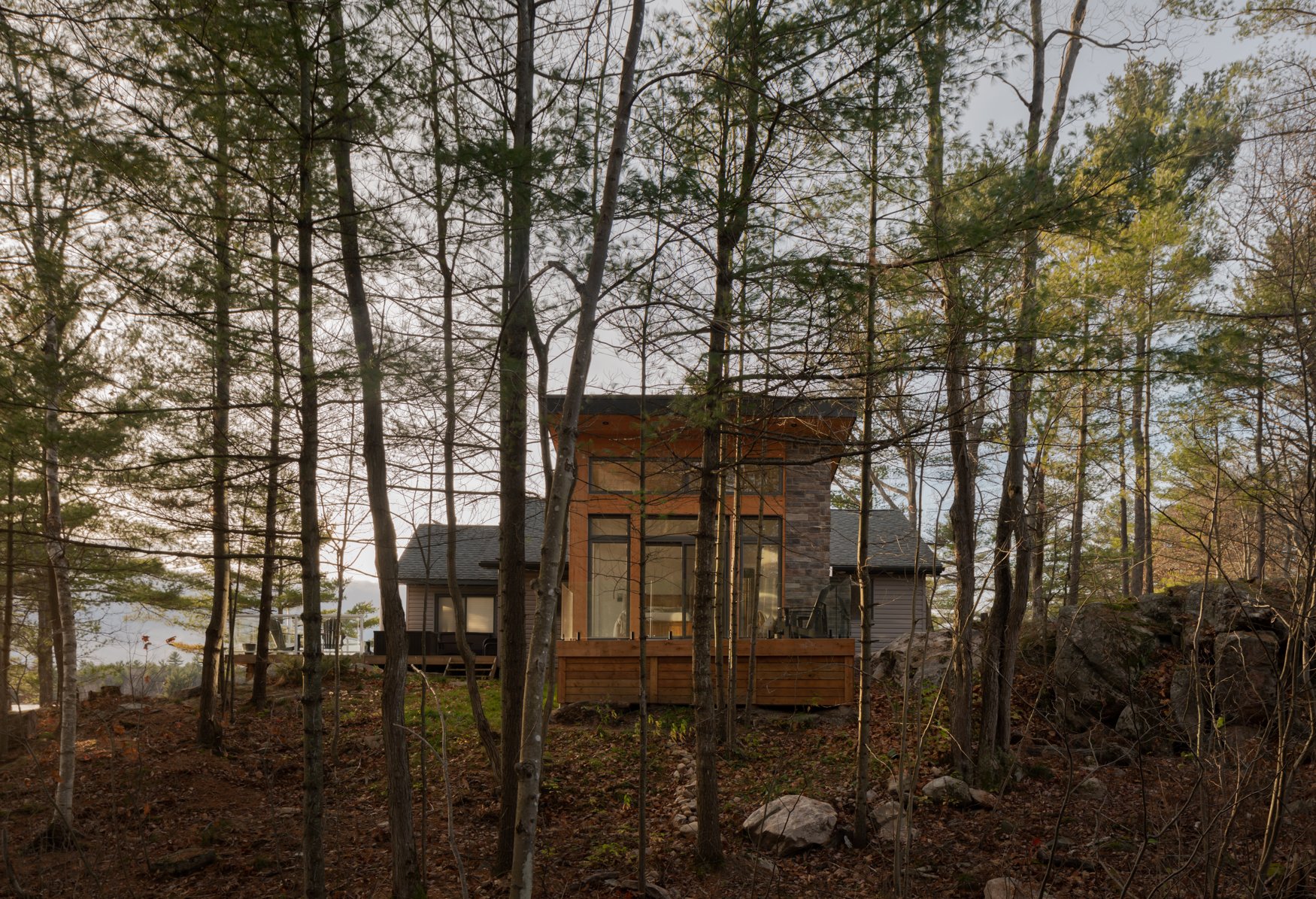 Timber clad modern cottage addition with shed roof in the Muskoka tree line