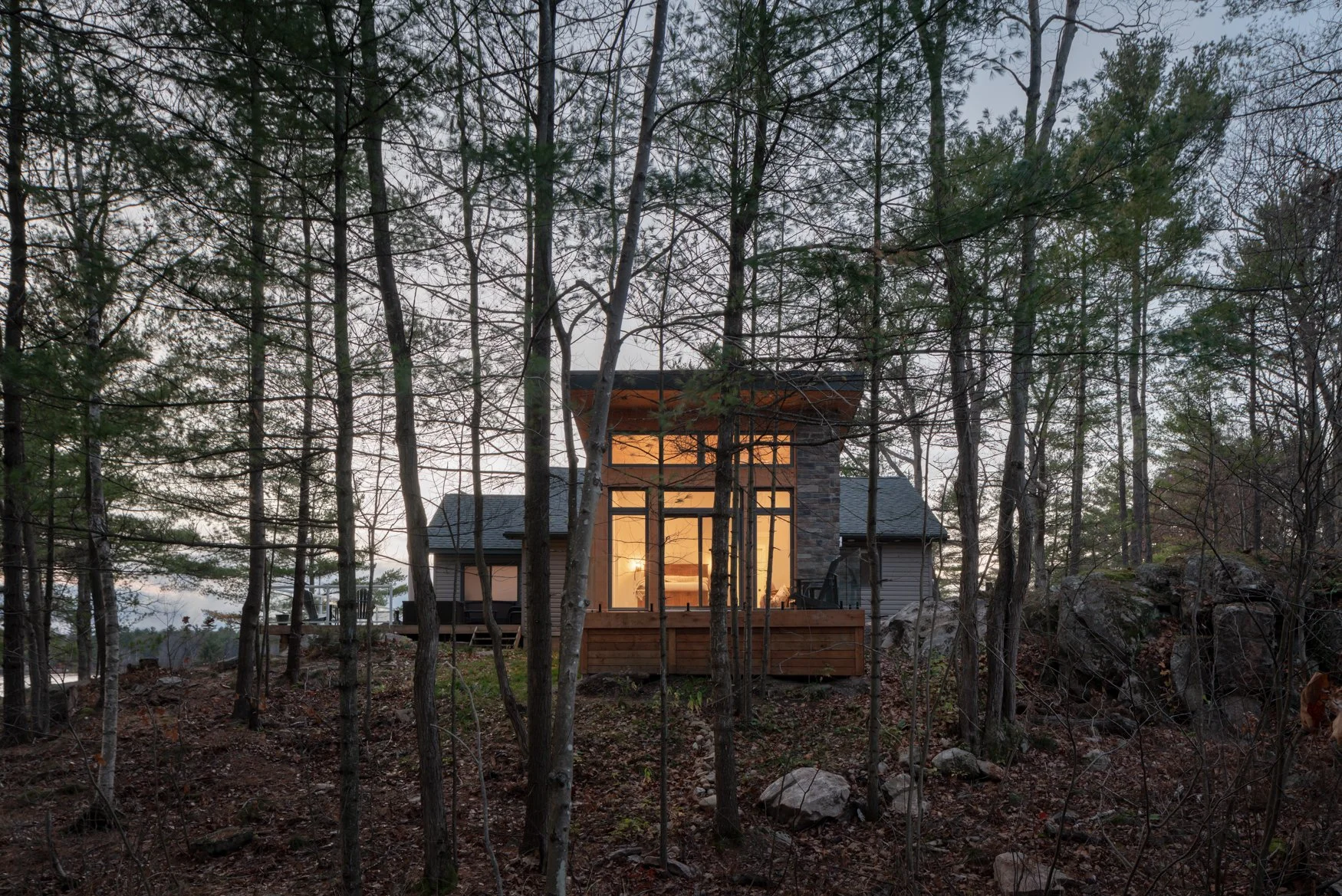Timber clad Modern cottage addition in the Muskoka tree line.