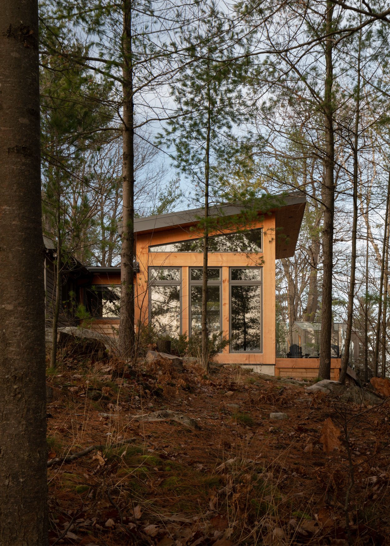 Modern cottage addition with fully glazed addition with shed roof and timber accents