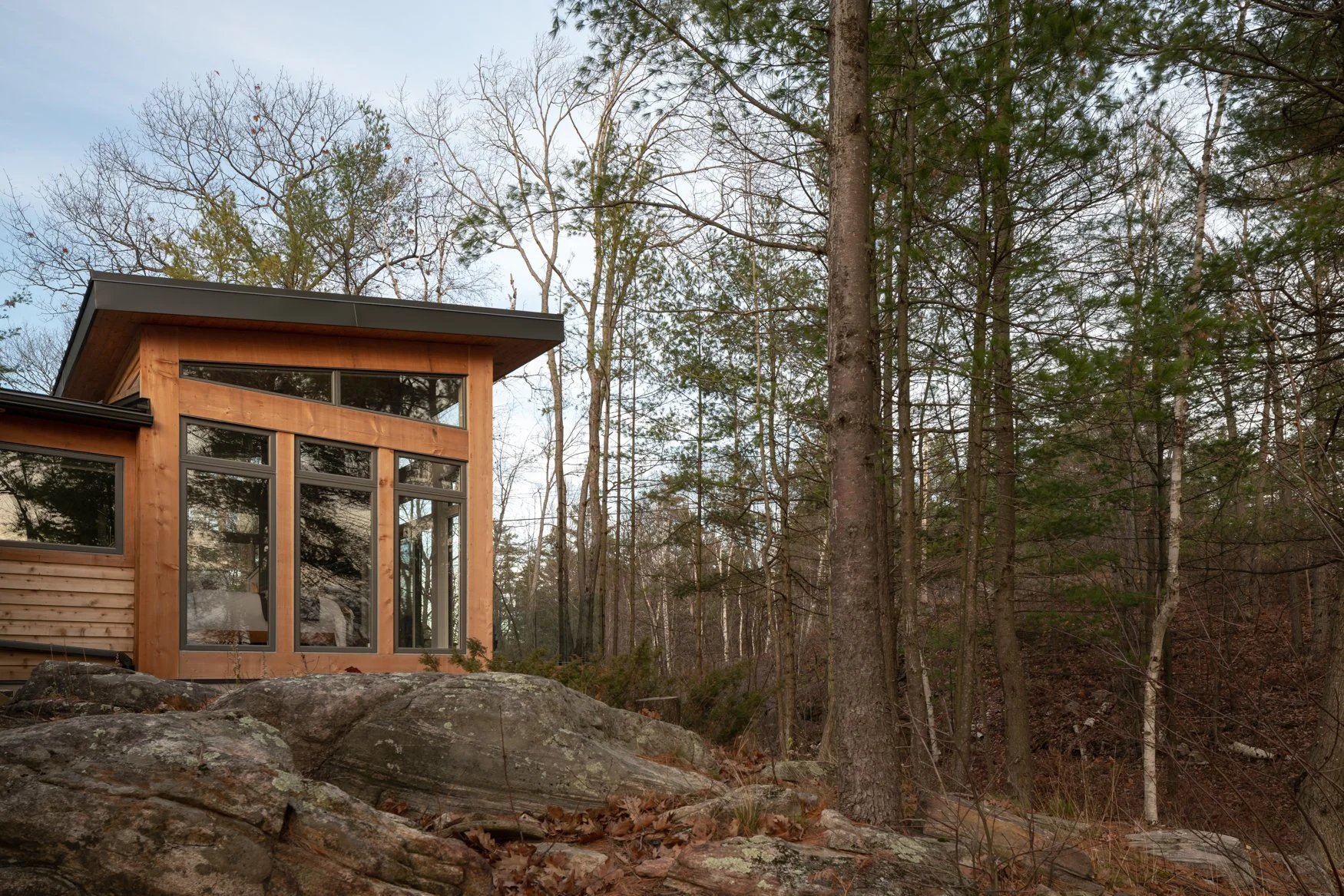 Timber clad modern primary bedroom addition clad with floor to ceiling windows and timber accents
