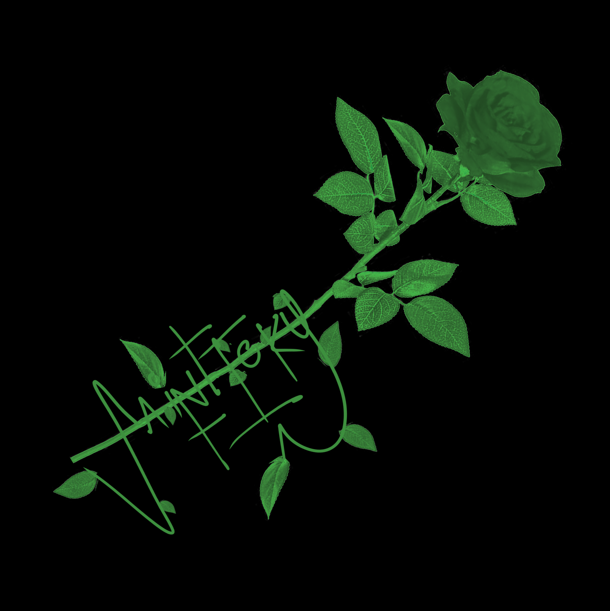 Rose Detail.png