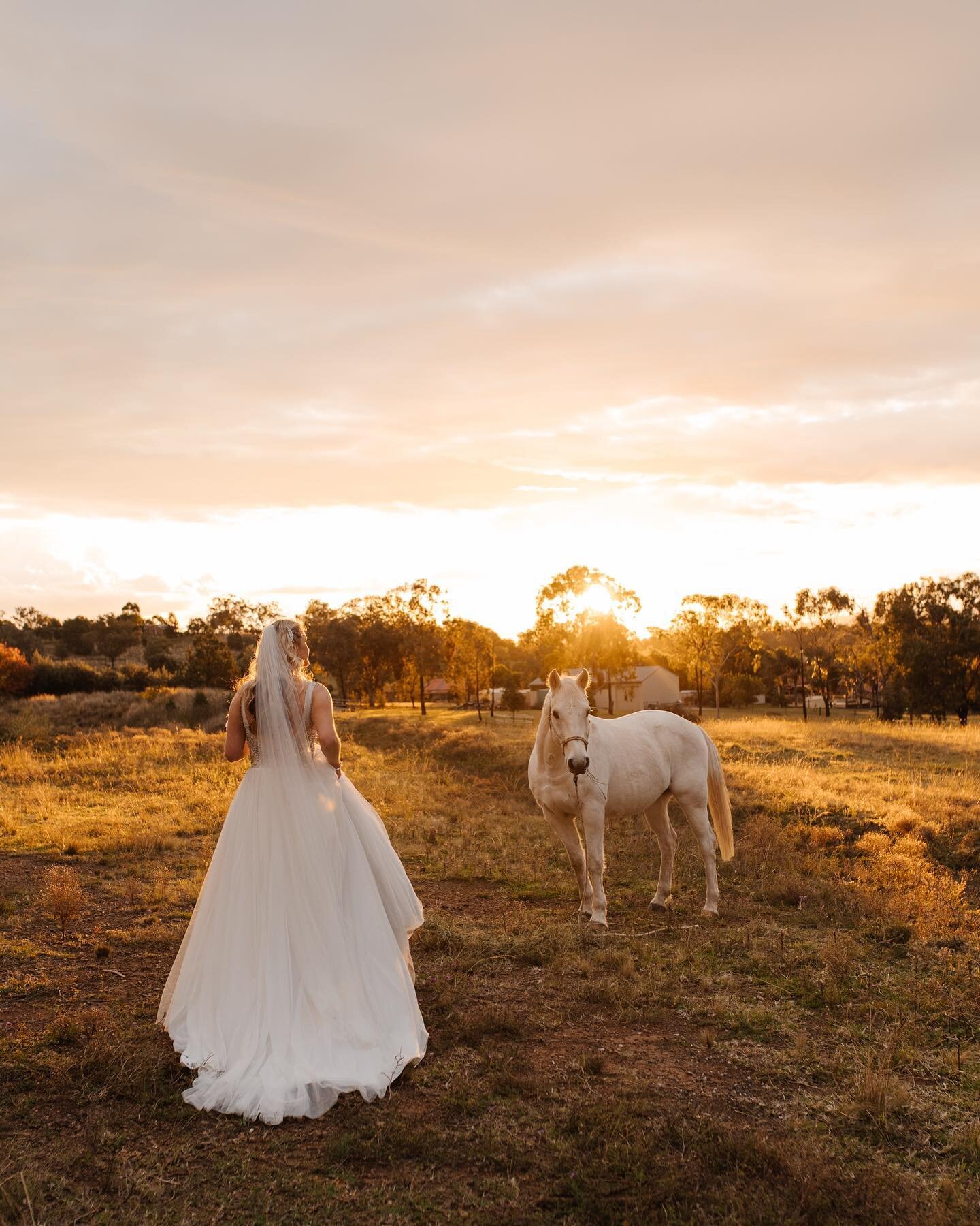 There&rsquo;s just something about horses, countryside, that golden light and a gorgeous bride.