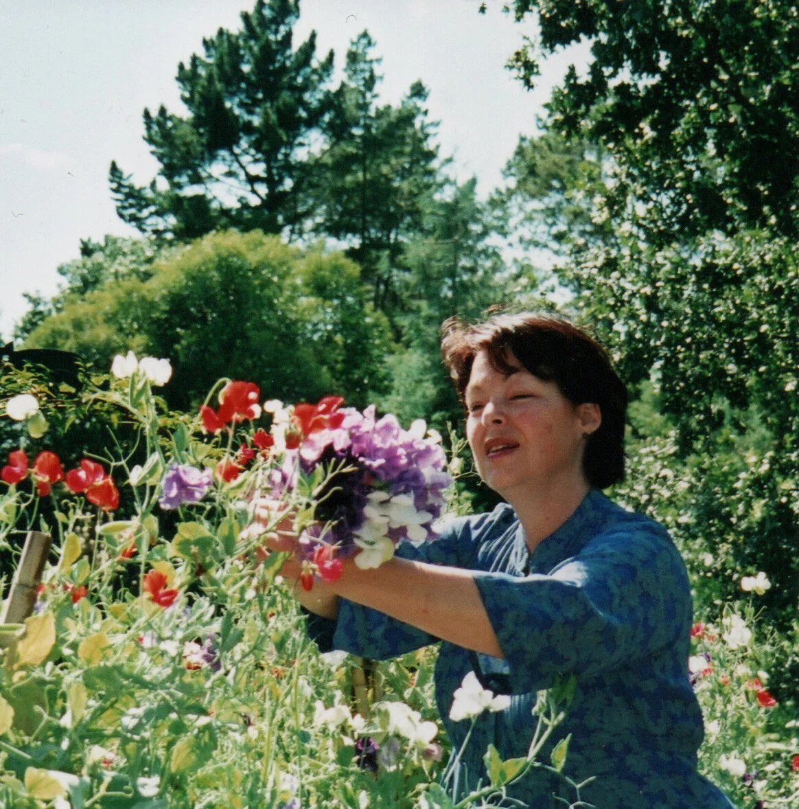 The short but sweet gardening phase of life, Walnut Creek, 2001