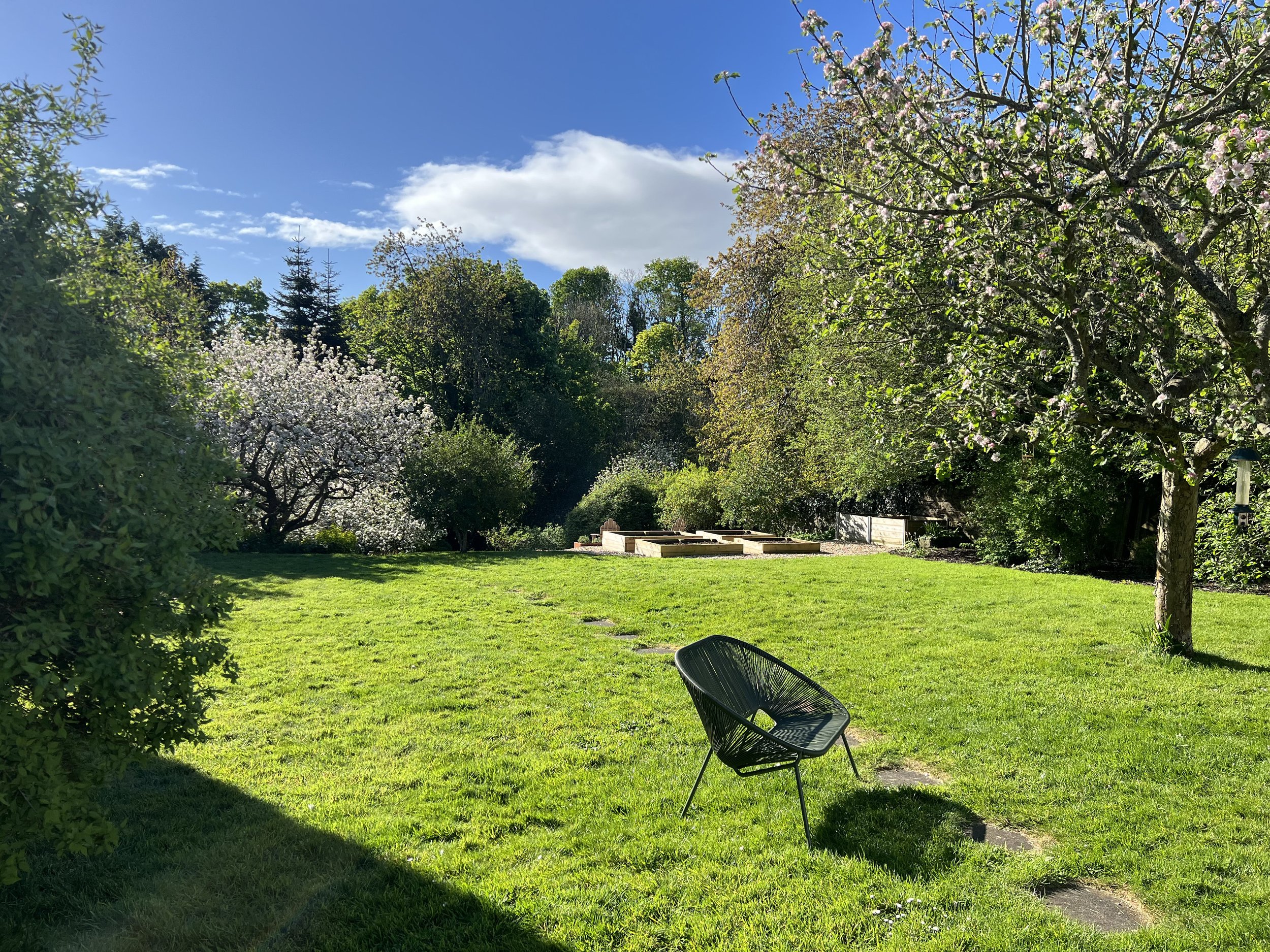 A lush green garden with blooming trees, a black outdoor chair, and a clear blue sky with some clouds.