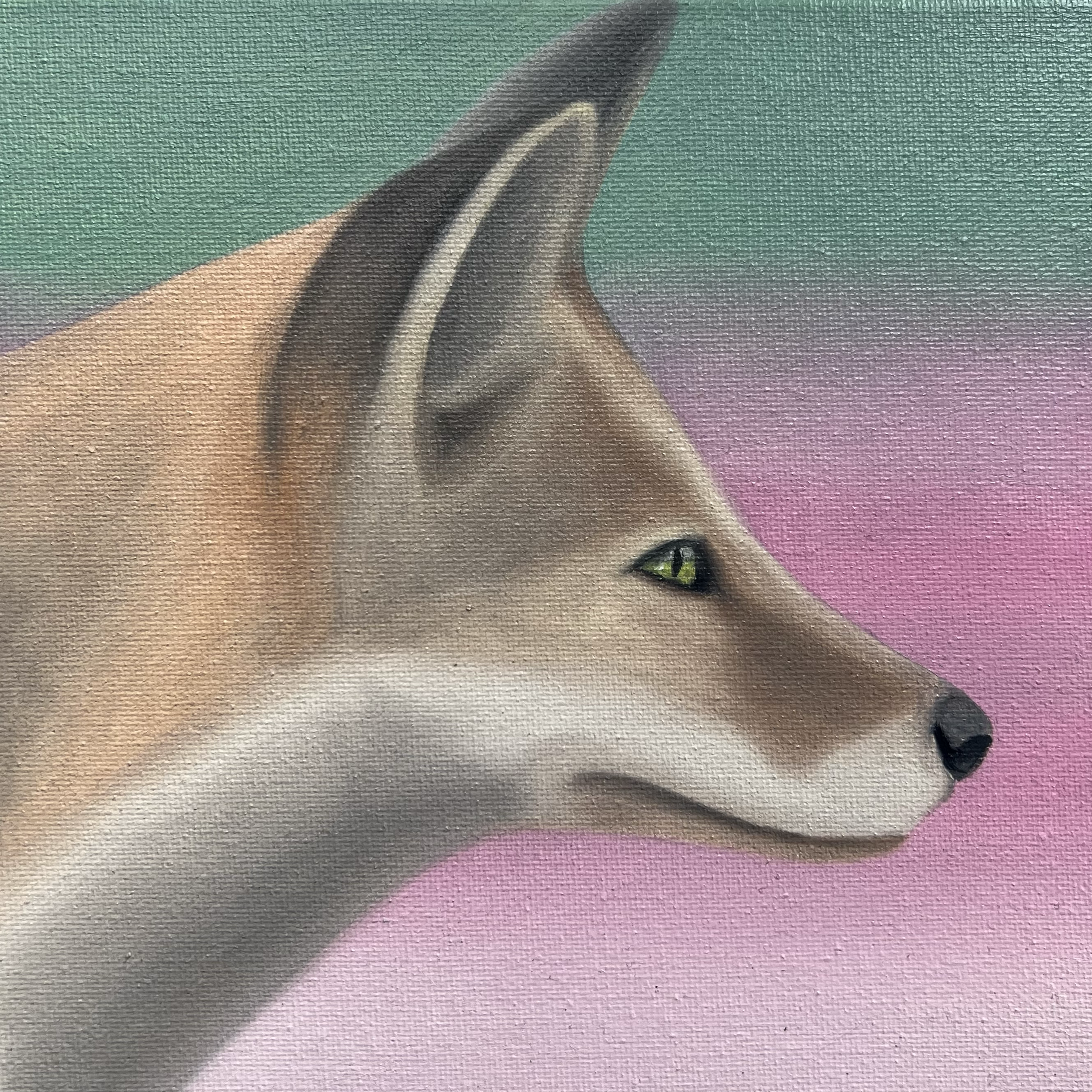 Focused Fox, 2026, oil on canvas, 20x20x2cm (available)