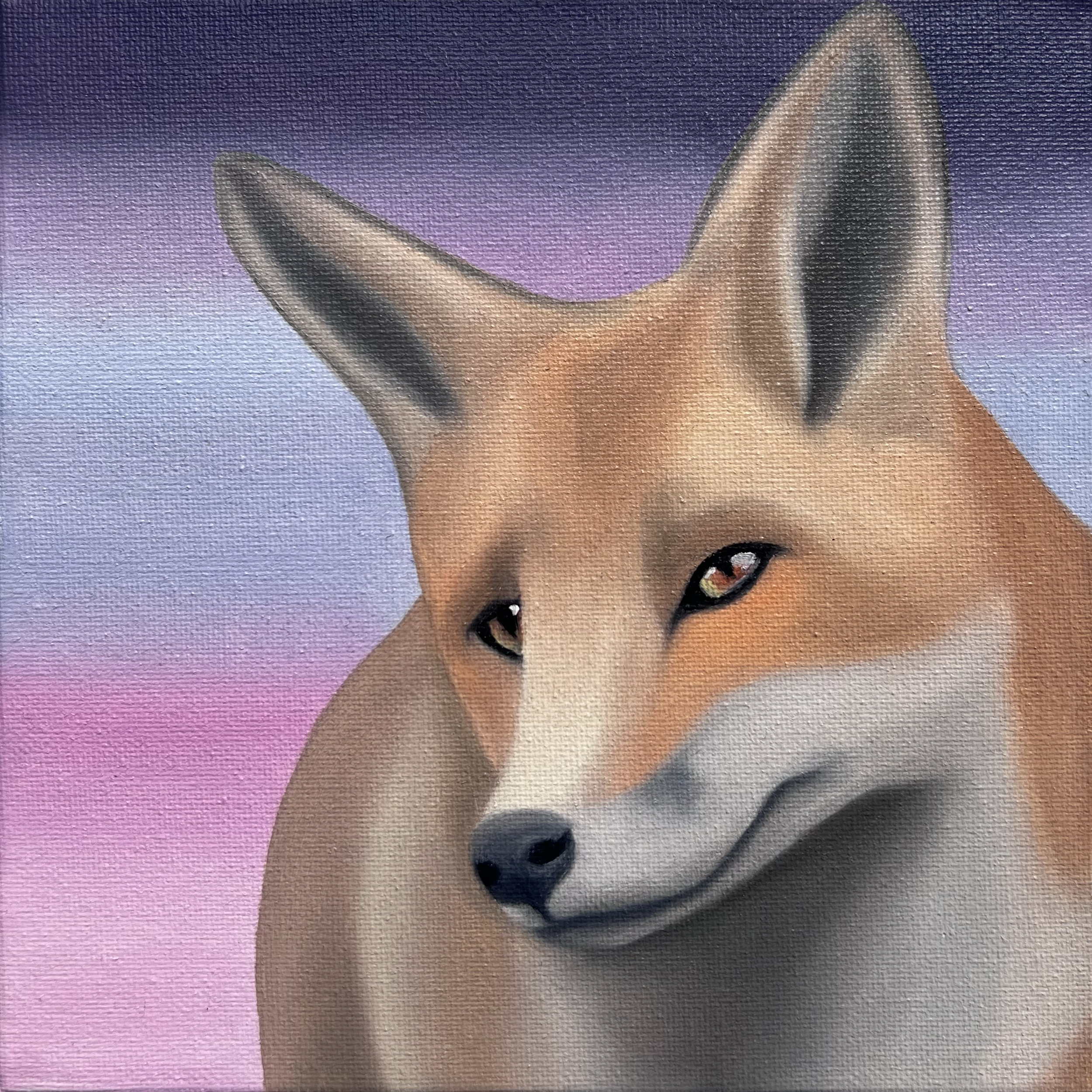 Gentle Fox, 2026, oil on canvas, 20x20x2cm (available)