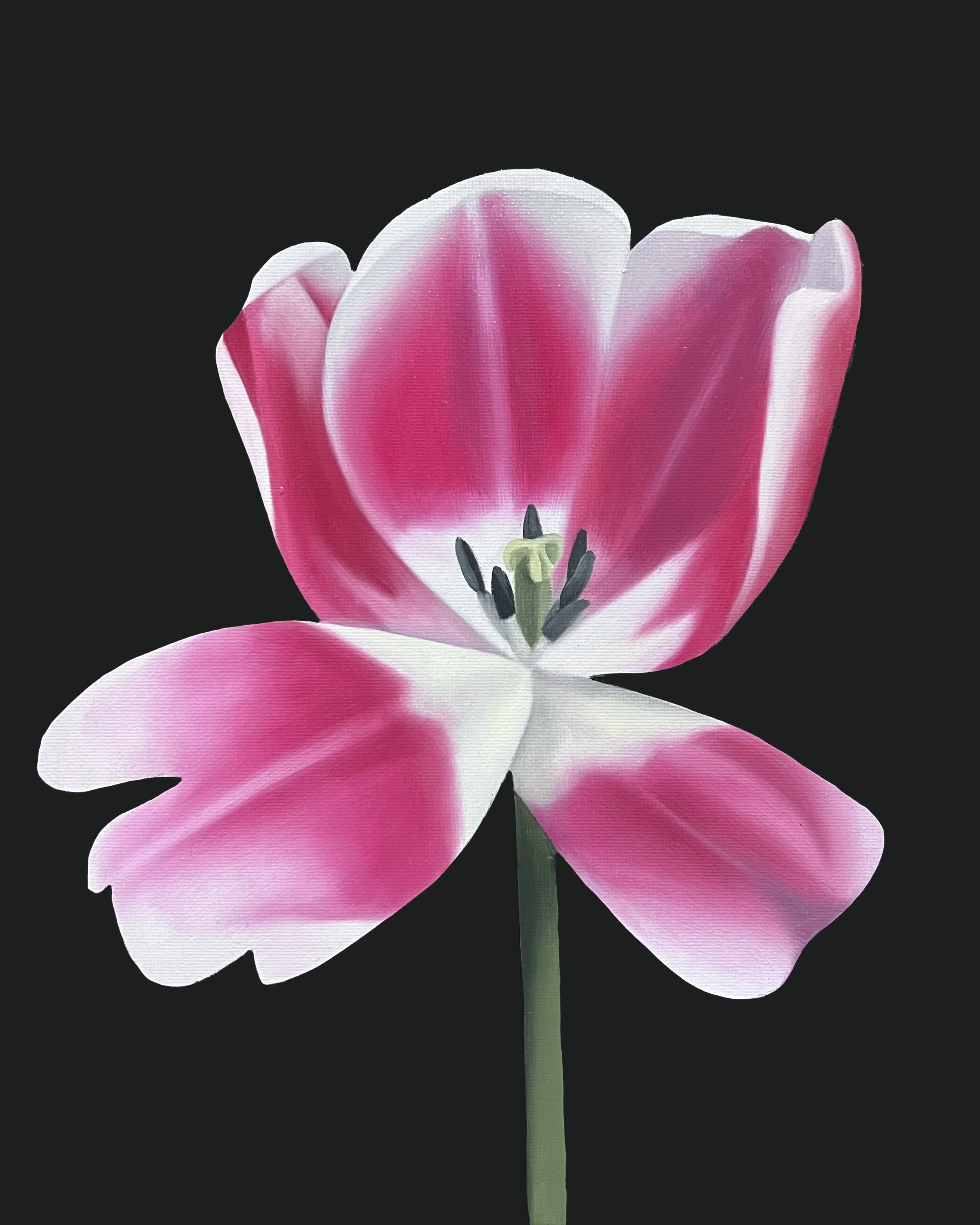 Tulip Study_08_artist_Ildze Ose_oil painting_30x24cm_2026.jpg