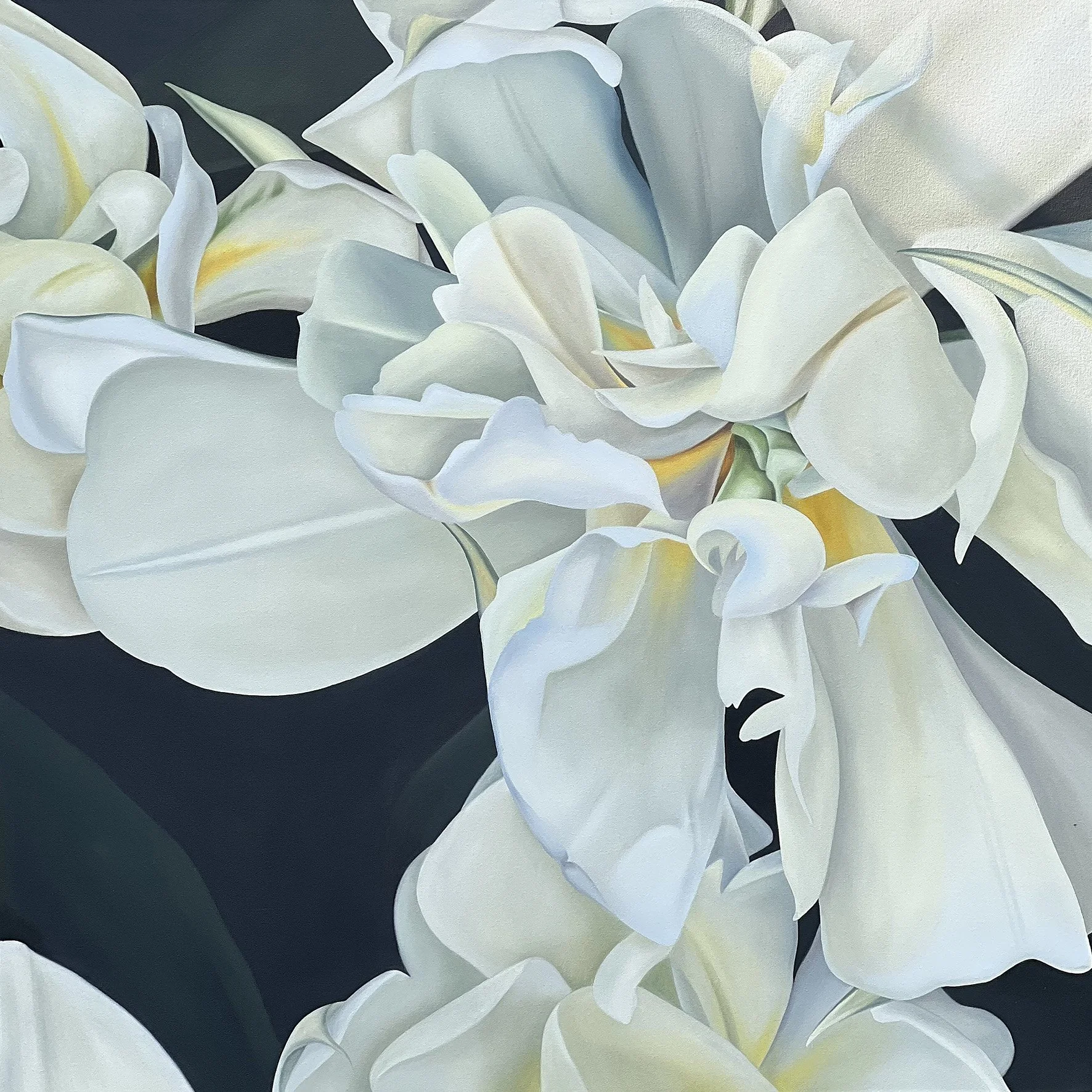 White Valley II, 2025, oil on canvas, 100x100x2cm (sold)