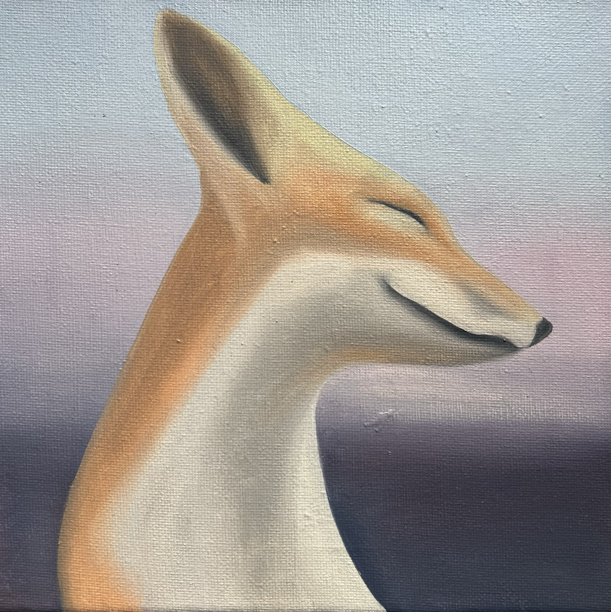 Dreamy Fox, 2026, oil on canvas, 20x20x2cm (available)
