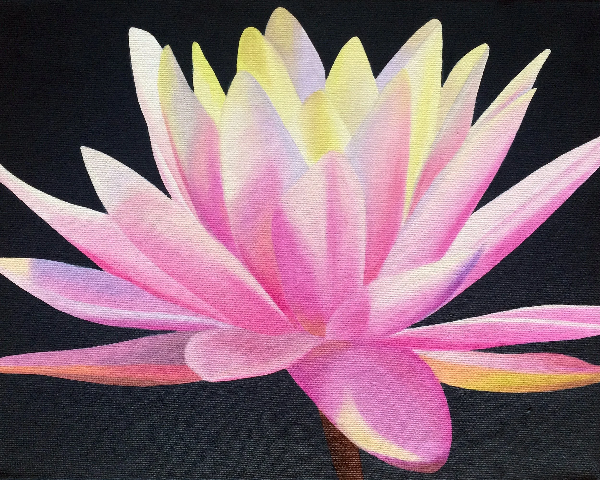 Water Lily II, 2018, oil/acrylic on canvas, 24x30x2cm (sold)