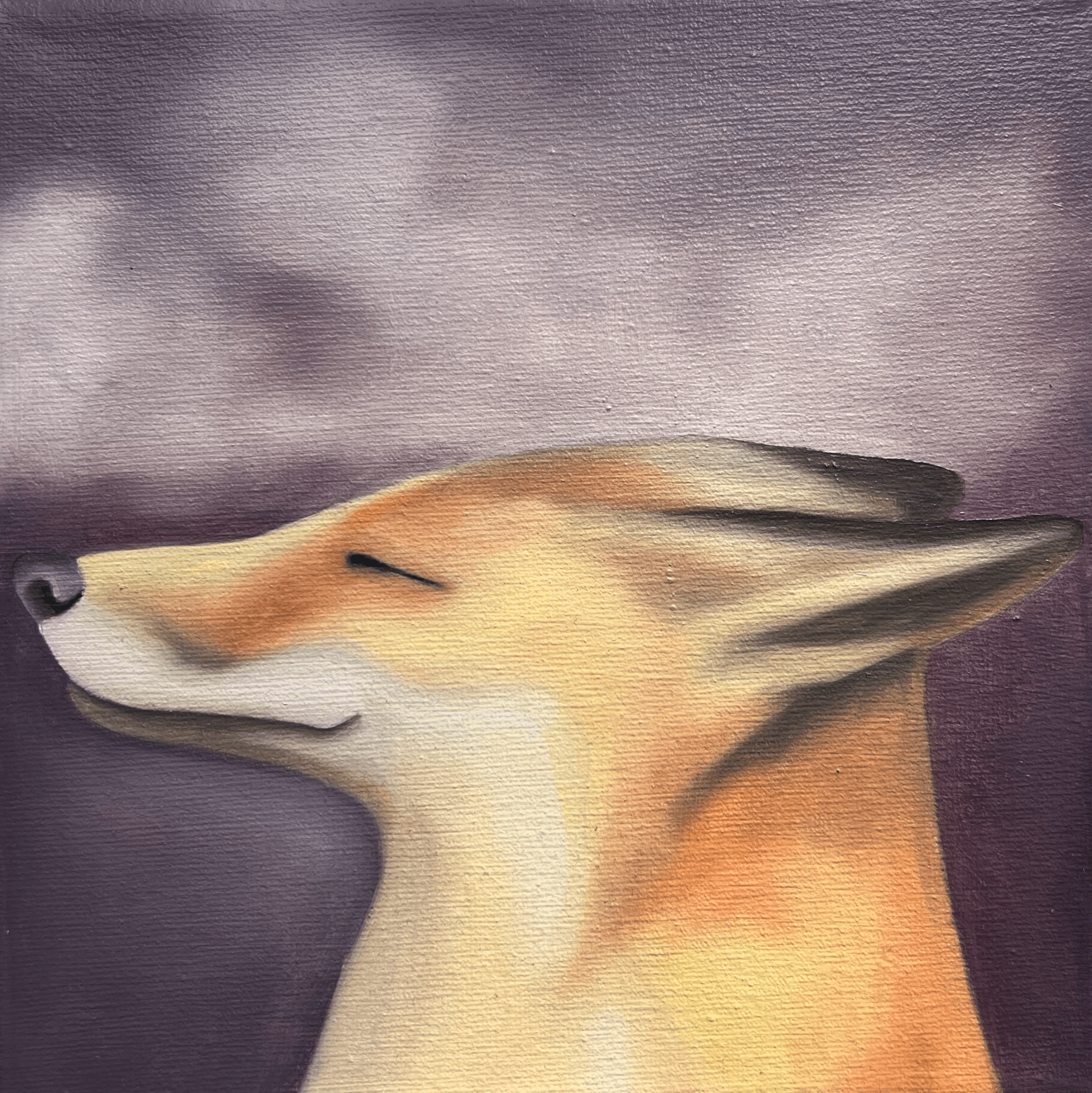 Peaceful Fox