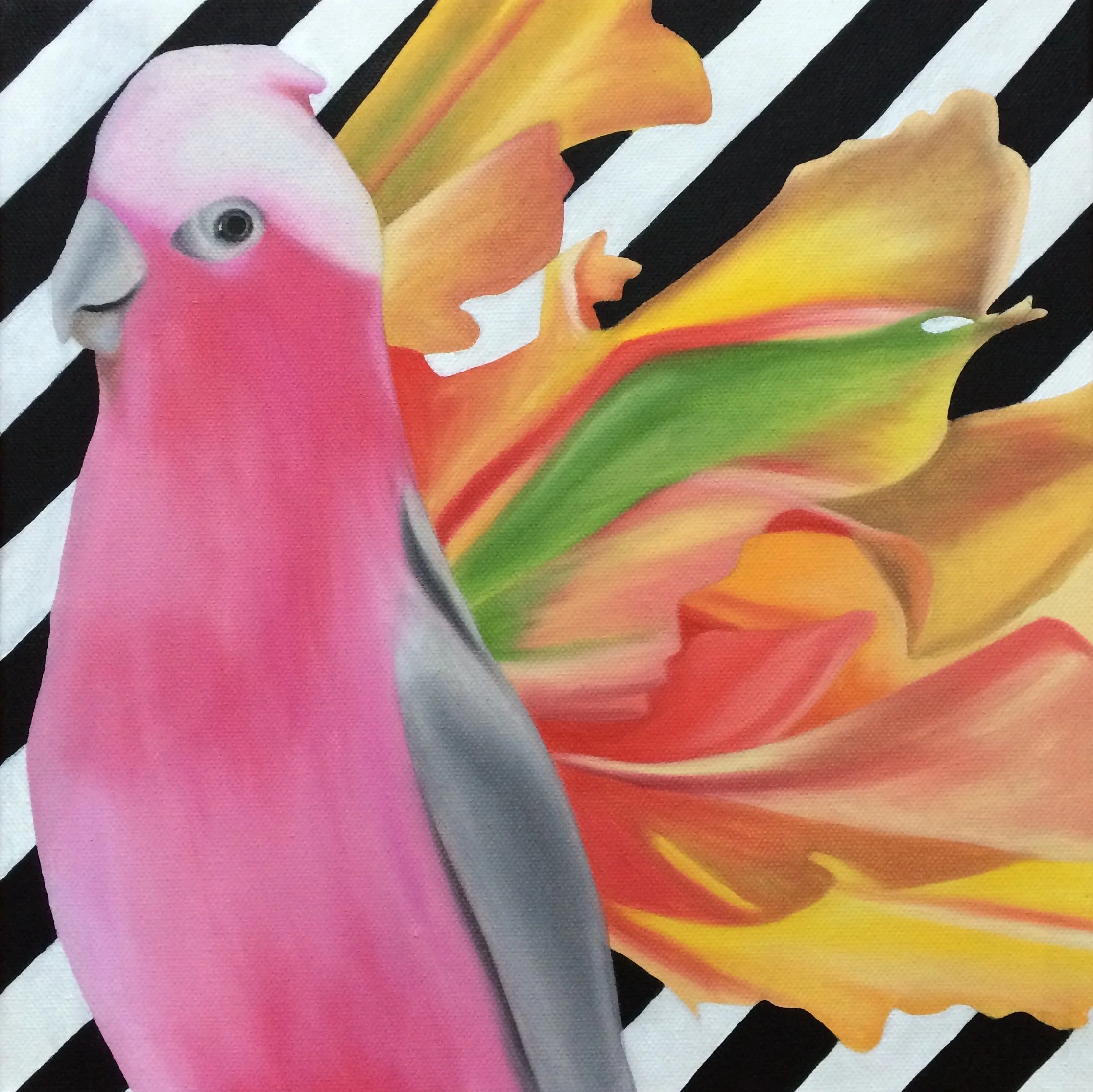 Two Parrots, 2018, oil/acrylic on canvas, 40x40x2cm (sold)