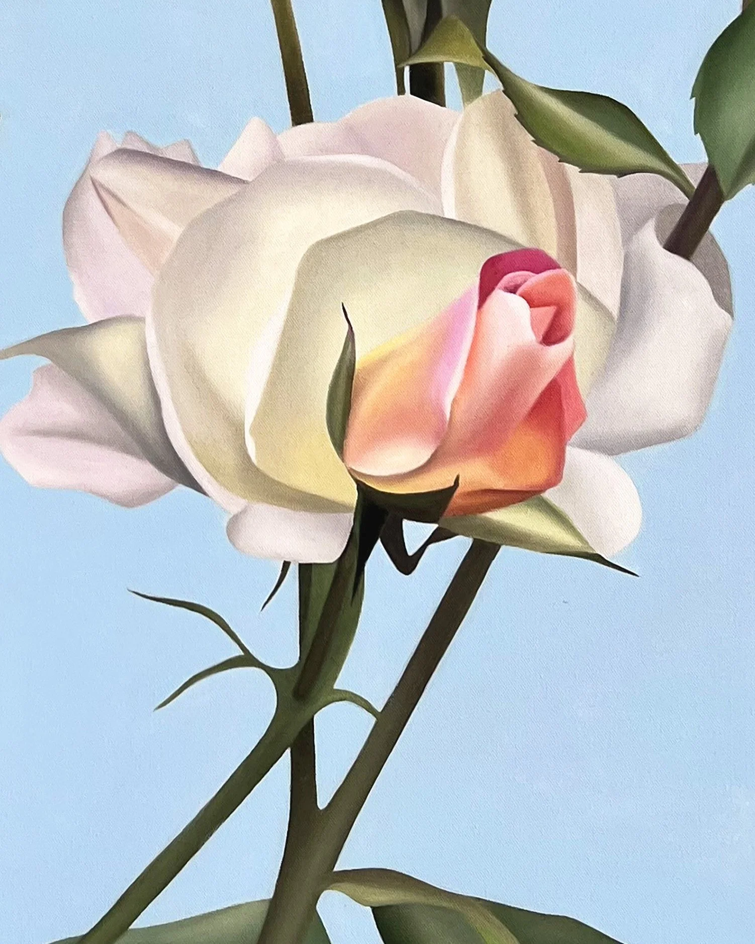 Blissfully Pink_artist_Ildze Ose_2022_100x100cm_light-pink-roses-and-blue-sky_oil-on-canvas_detail 2.jpeg