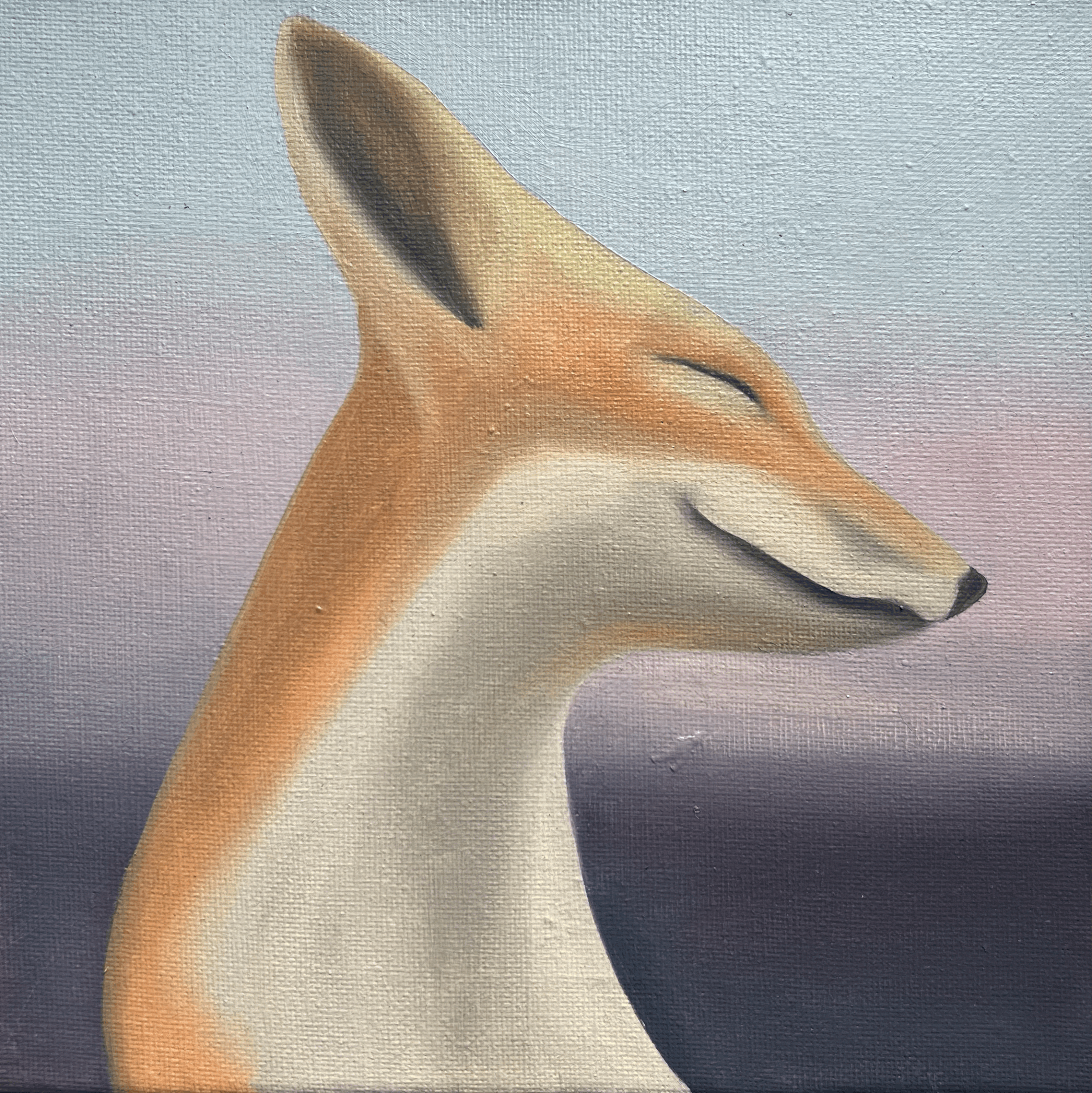 Dreamy Fox