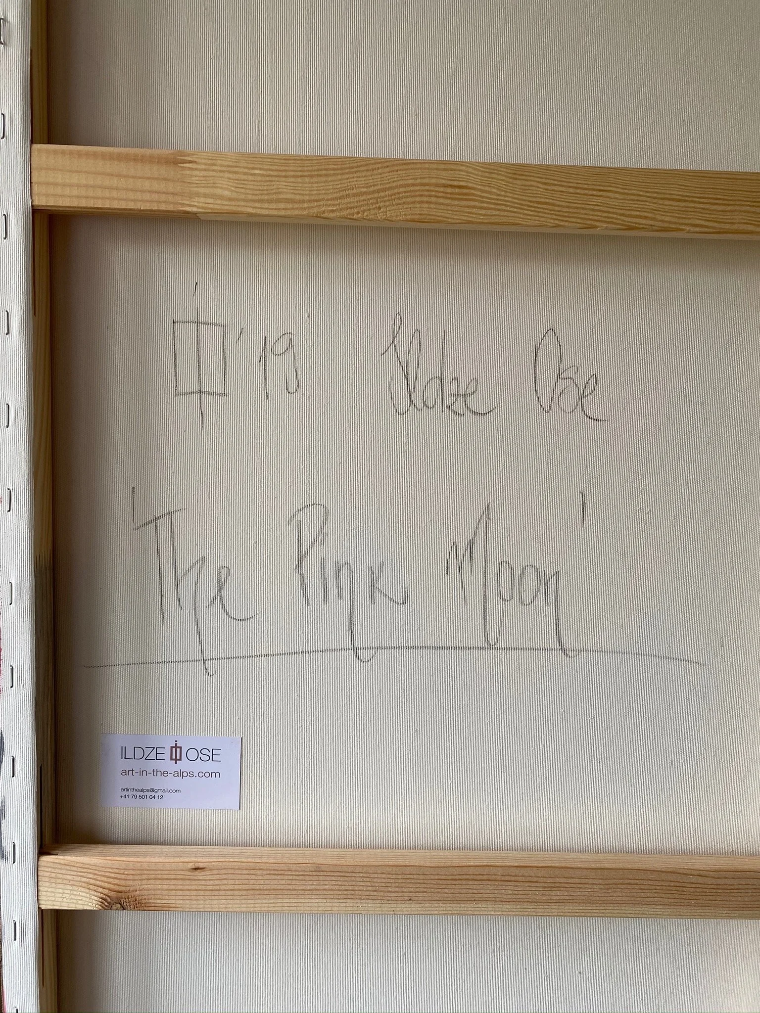 The Pink Moon_artist_Ildze Ose_back.jpg