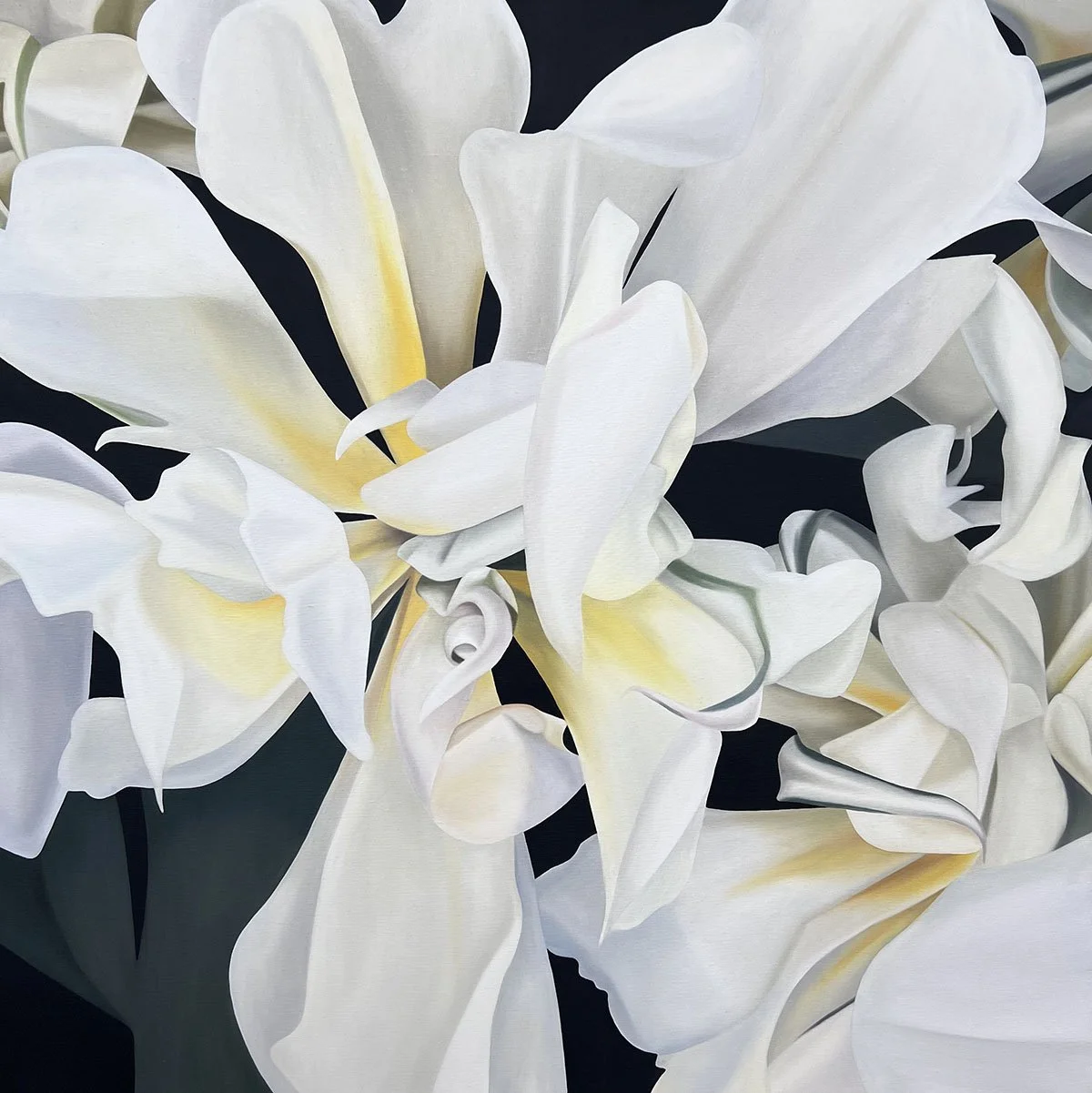 White Valley, 2022, oil on canvas, 100x100x4cm (available)