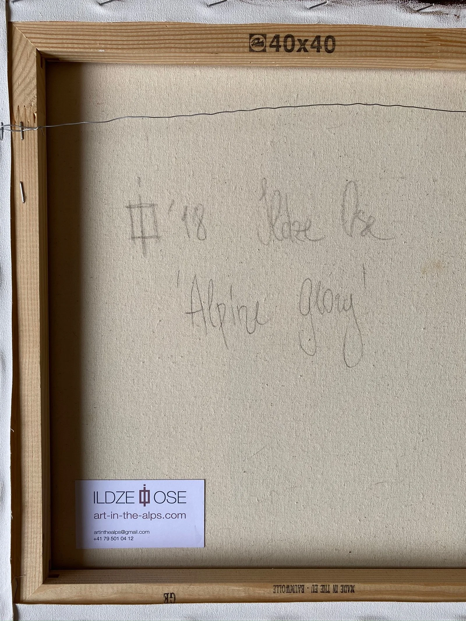 Alpine Glory_artist_Ildze Ose_2018_detail_3.jpg