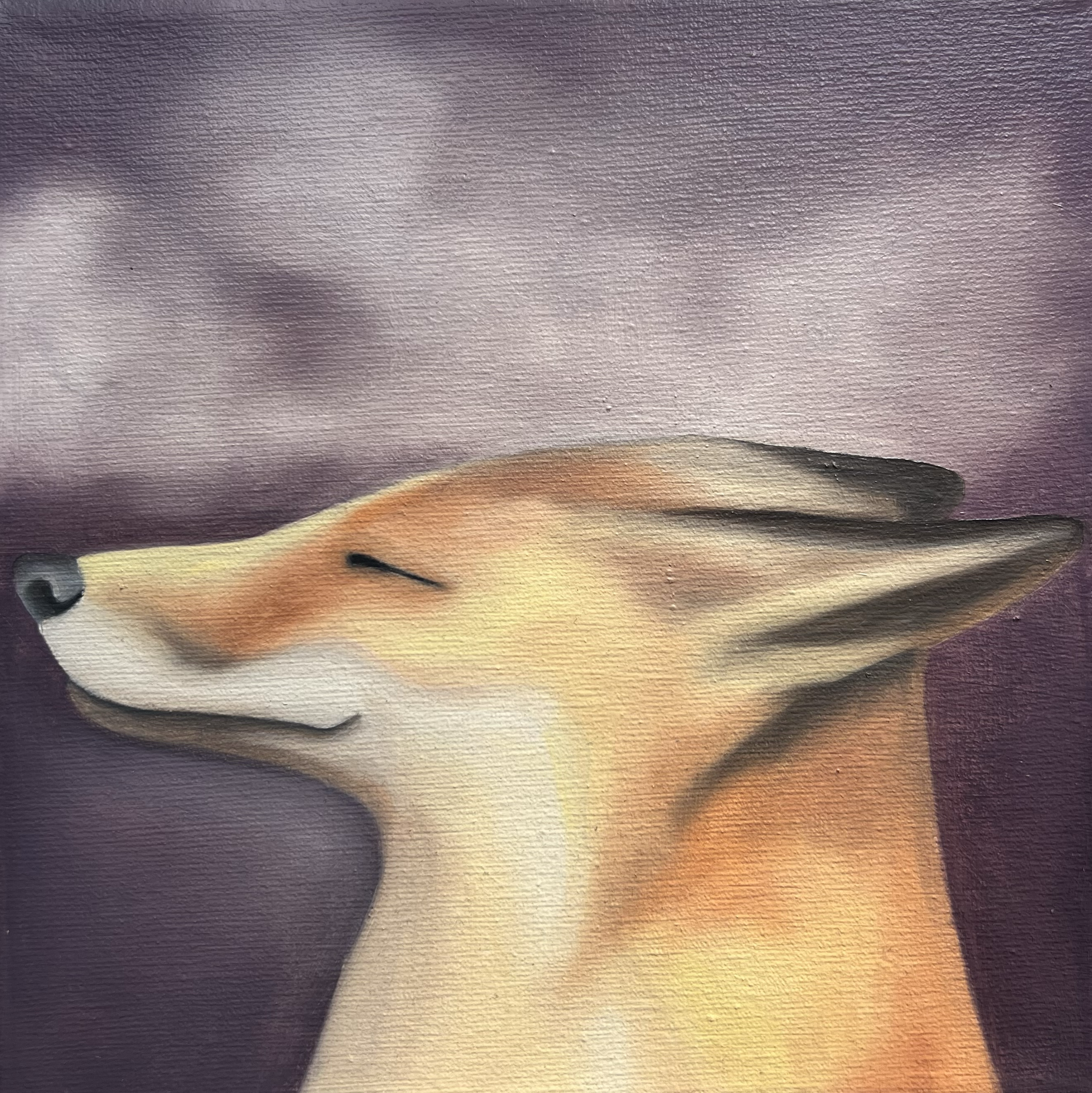 Peaceful Fox, 2026, oil on canvas, 20x20x2cm (available)