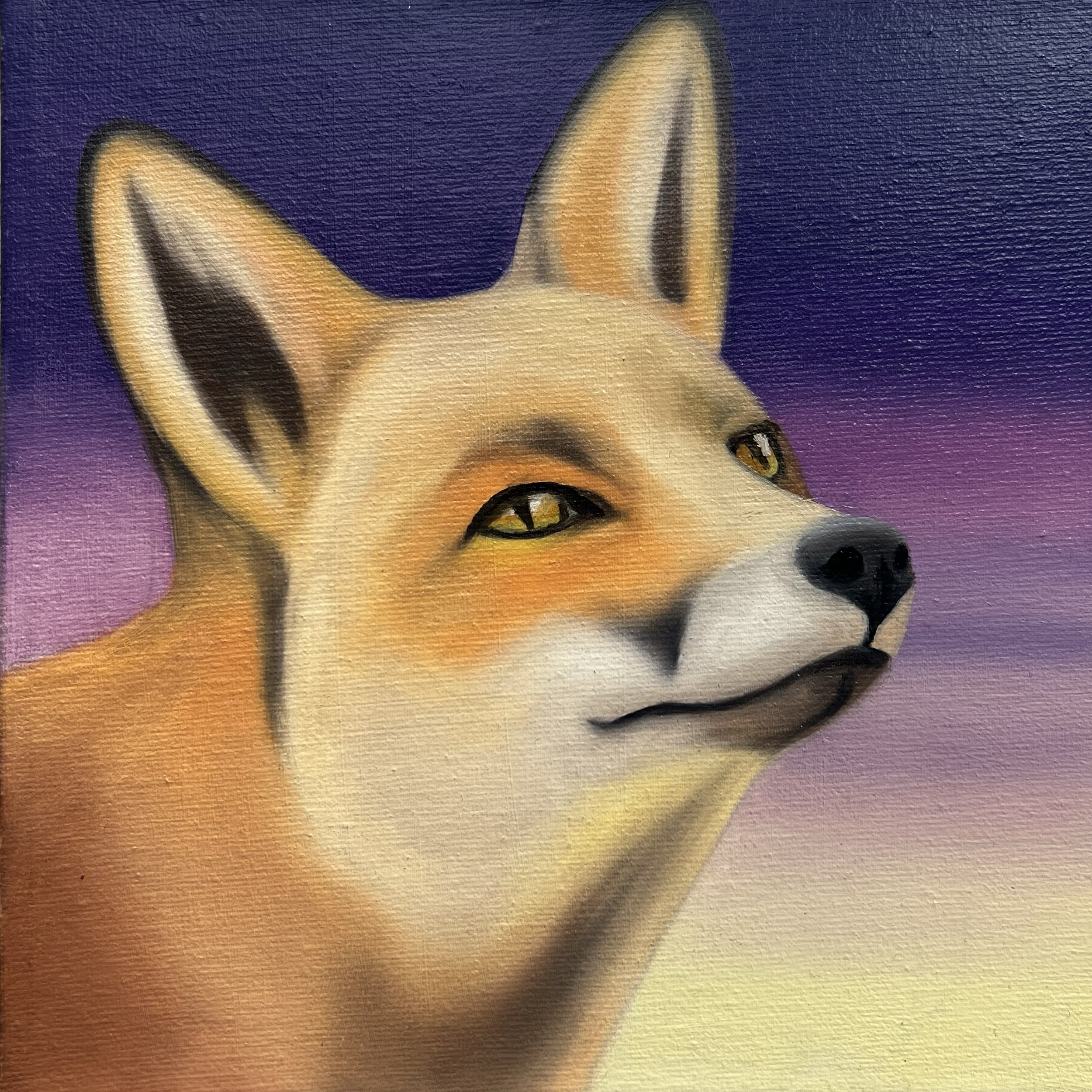 Radiant Fox, 2026, oil on canvas, 20x20x2cm (available)