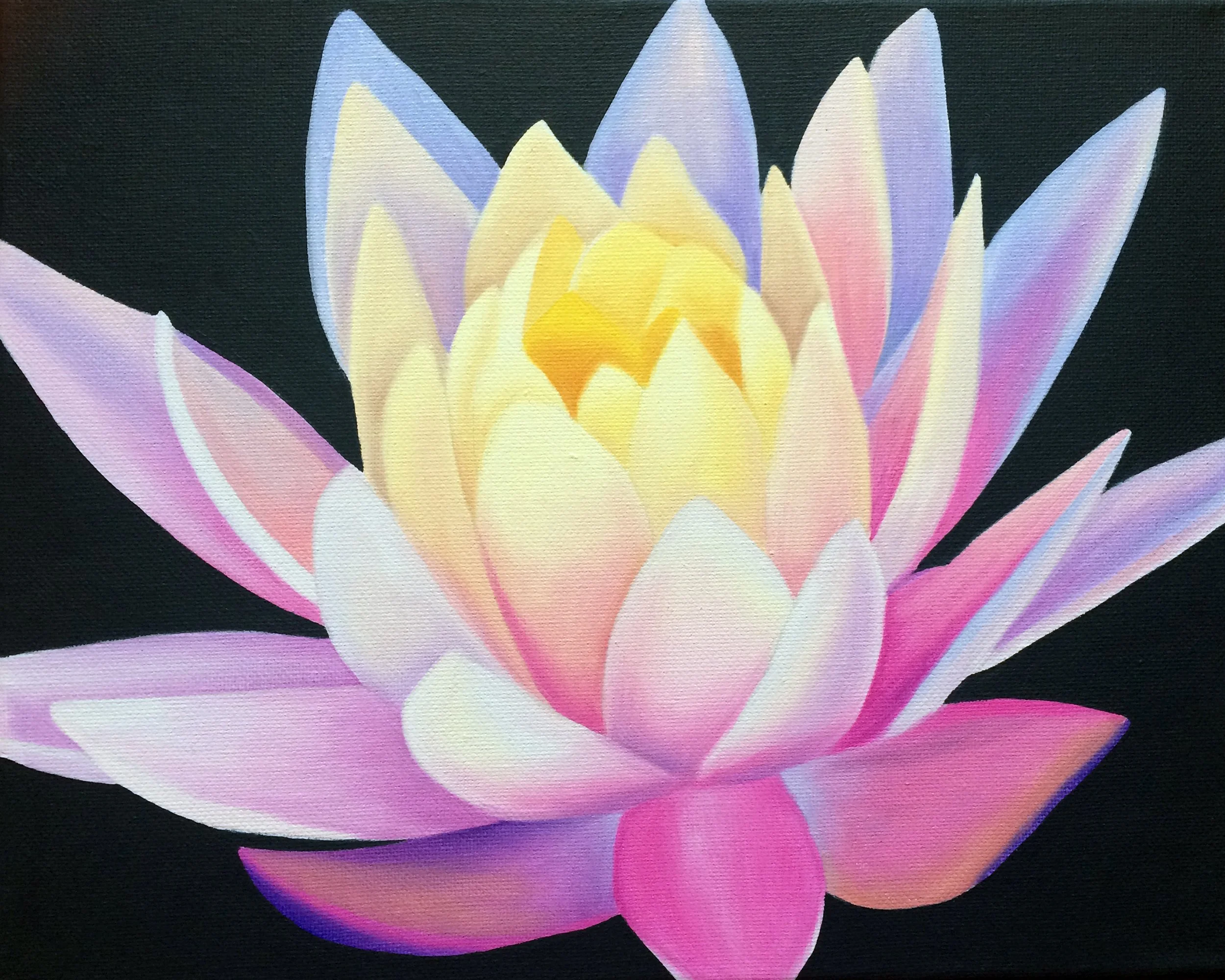 Water Lily I, 2018, oil/acrylic on canvas, 24x30x2cm (sold)