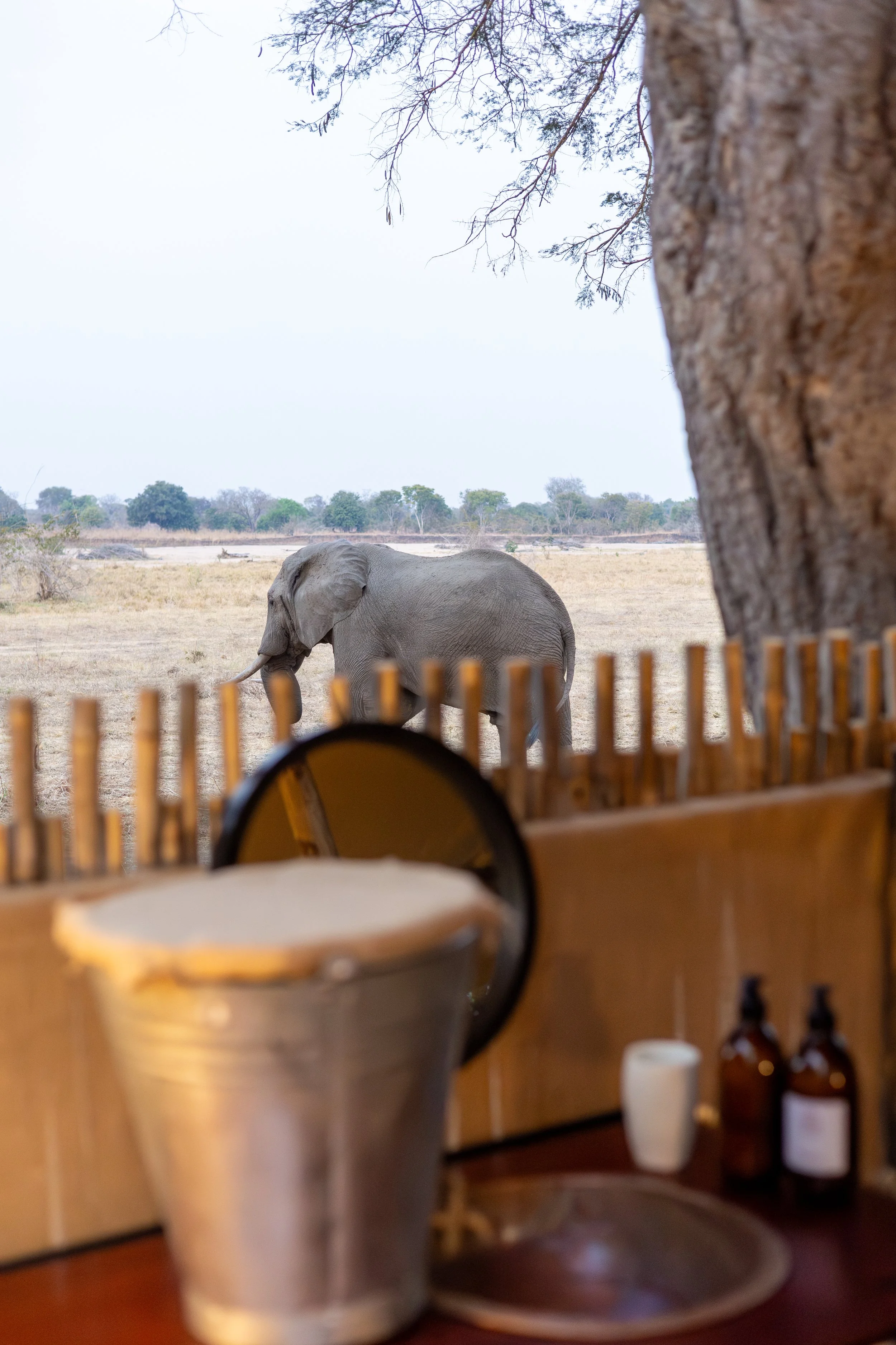 View from an open-air bathroom overlooking the Zambezi River in Lower Zambezi National Park, Zambia, blending luxury safari accommodation with the surrounding wilderness.