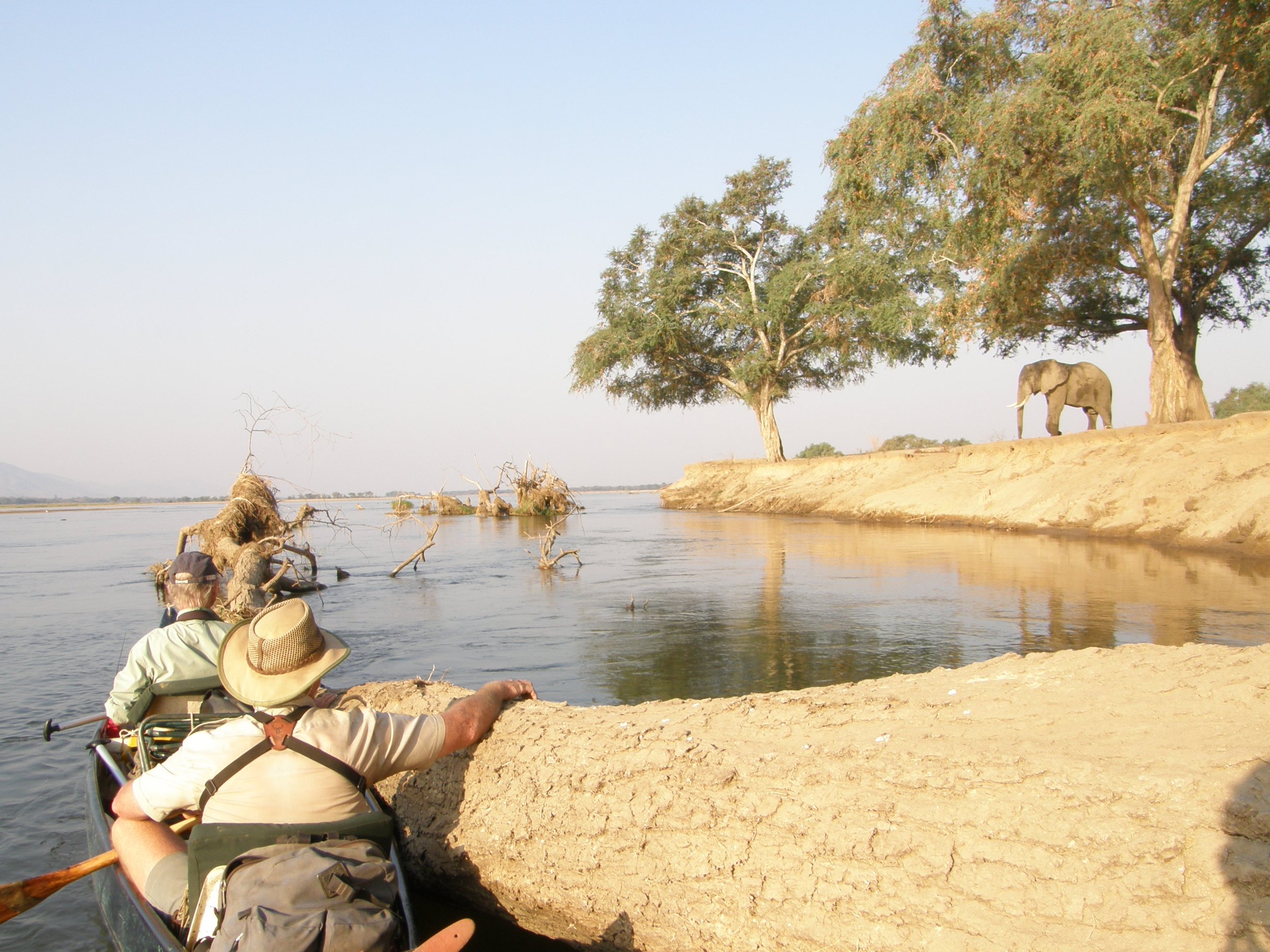 Guests exploring Lower Zambezi by canoe, quietly observing elephants along the shoreline during an intimate safari through the country's pristine wetlands.