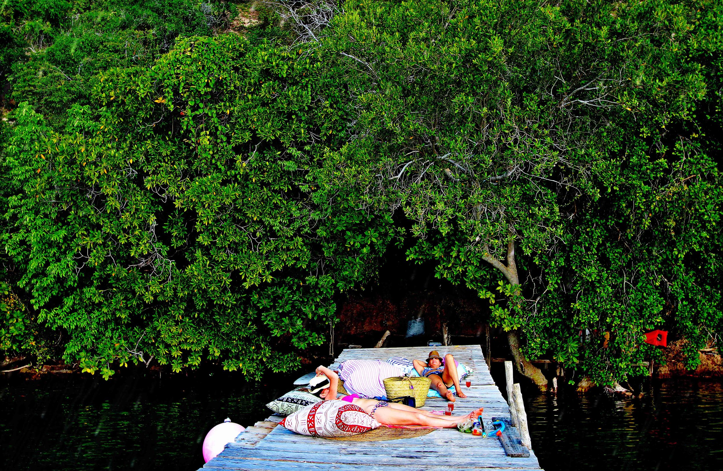 Mikes Jetty.jpg