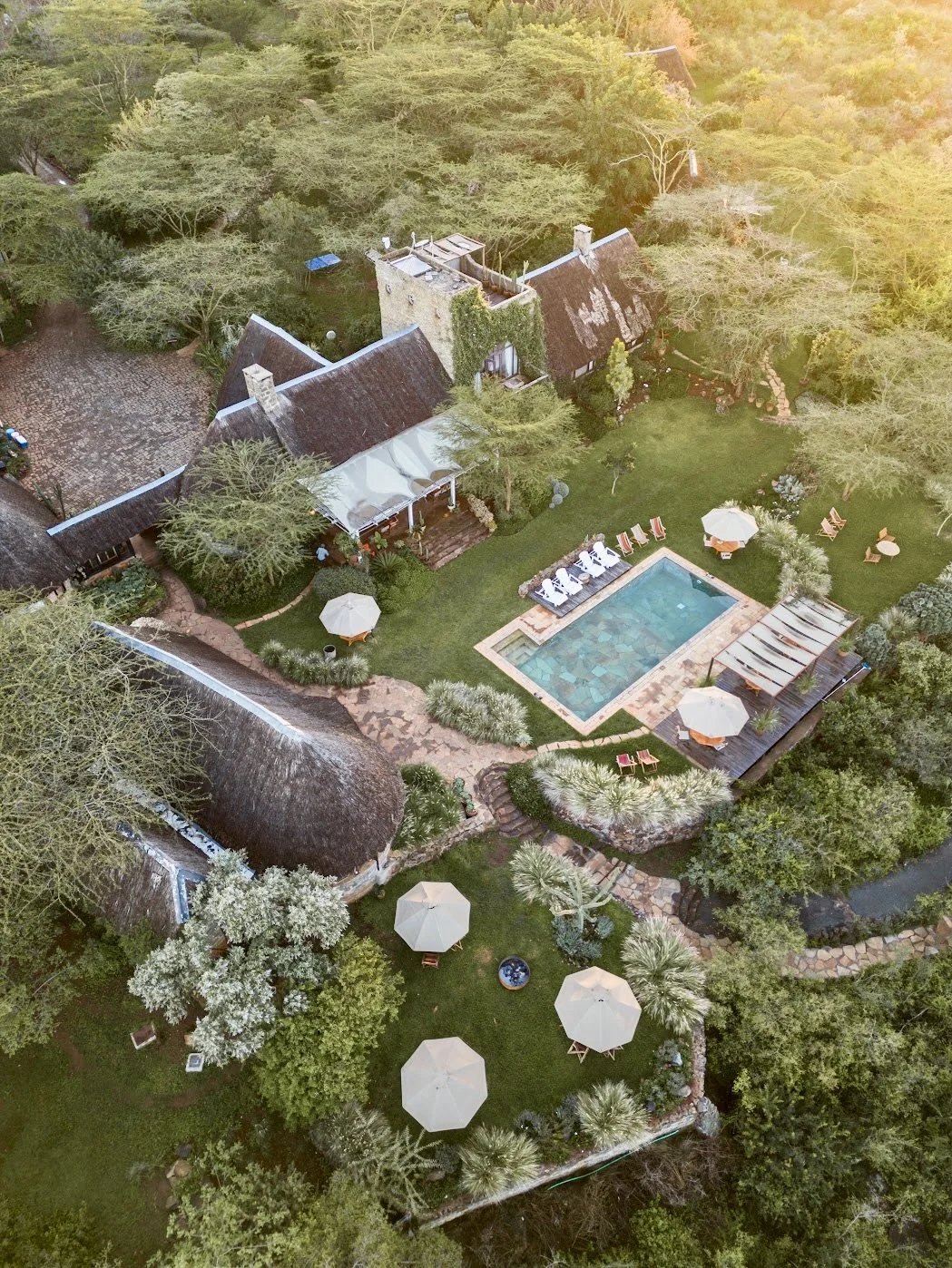 Aerial view of a backyard with a swimming pool, surrounded by lounge chairs and umbrellas, lush green grass, trees, and a house with a thatched roof.