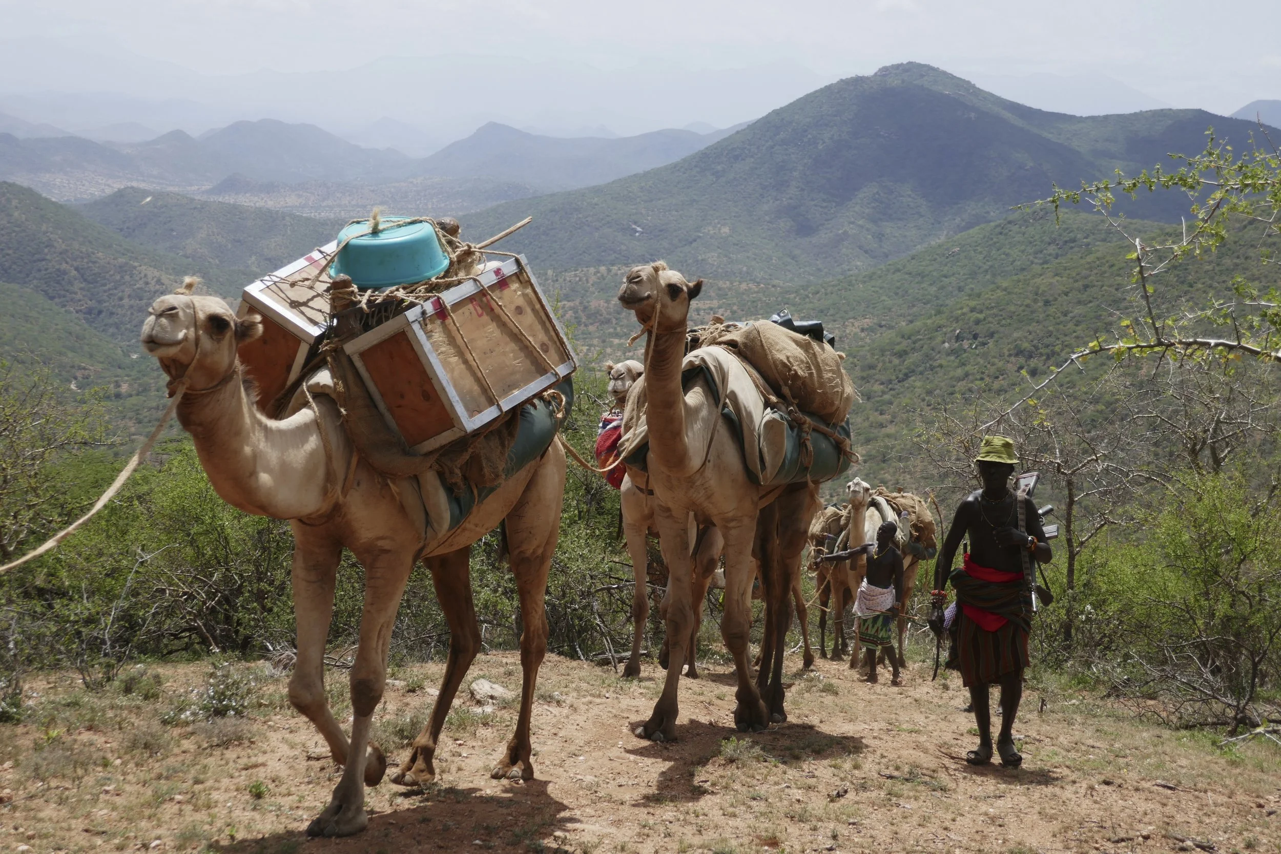Camel_Climb.JPEG
