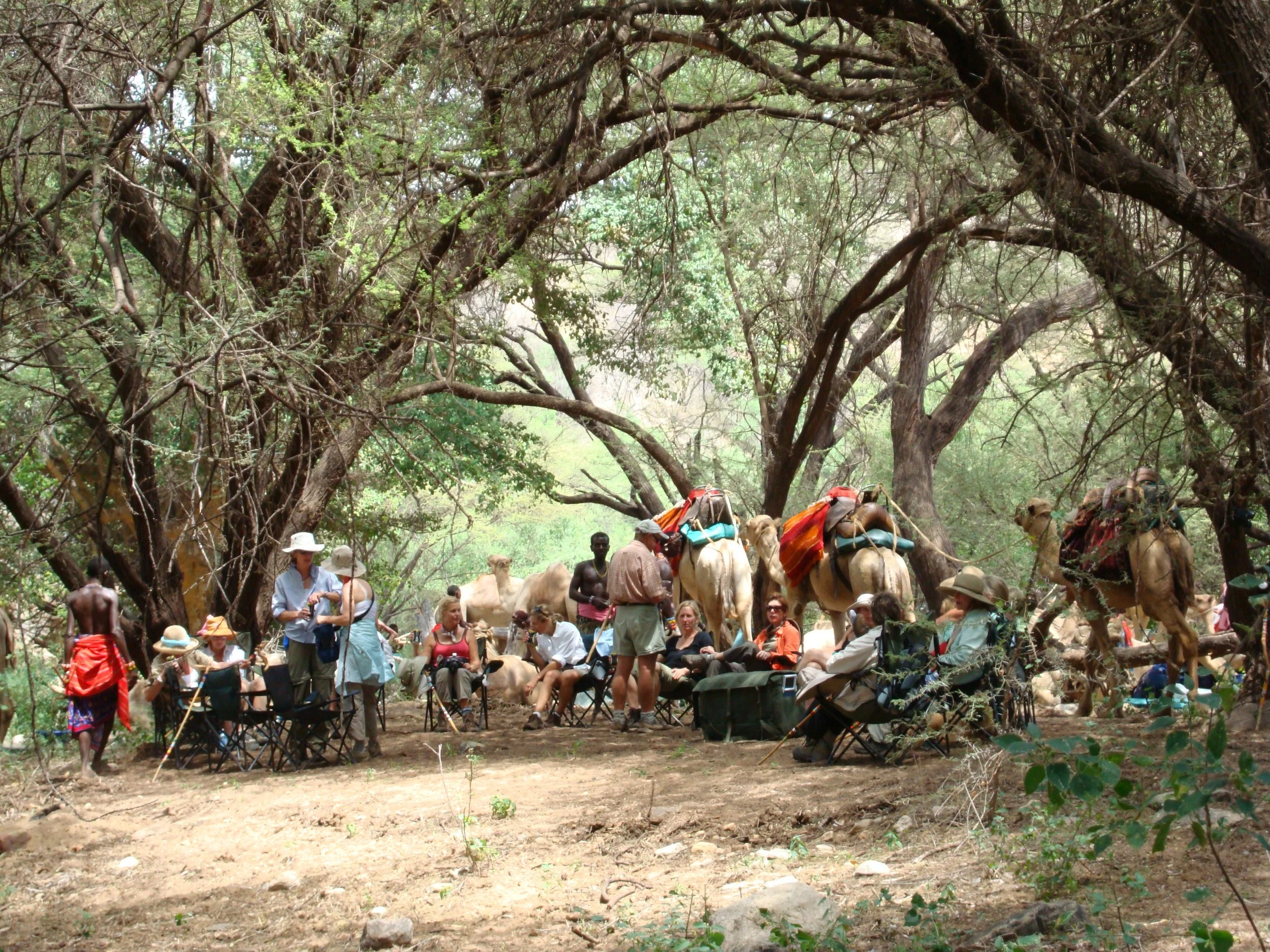 Women resting beneath acacia trees with Samburu guides and pack camels during a walking safari in northern Kenya